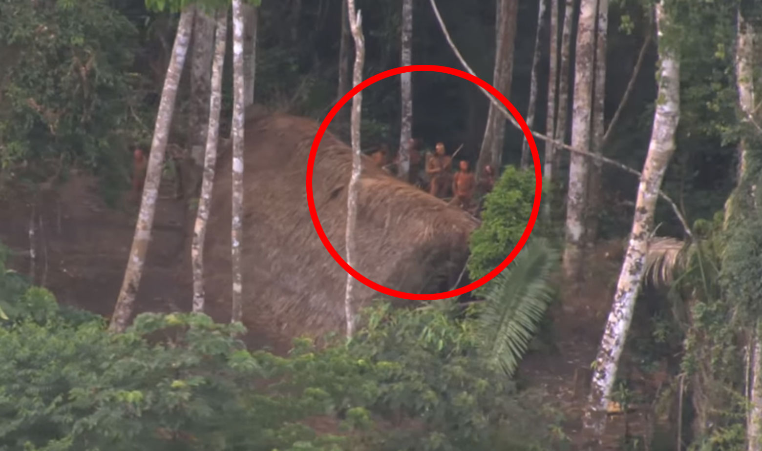 Izolirano pleme amazonskih domorodaca snimljeno dronom