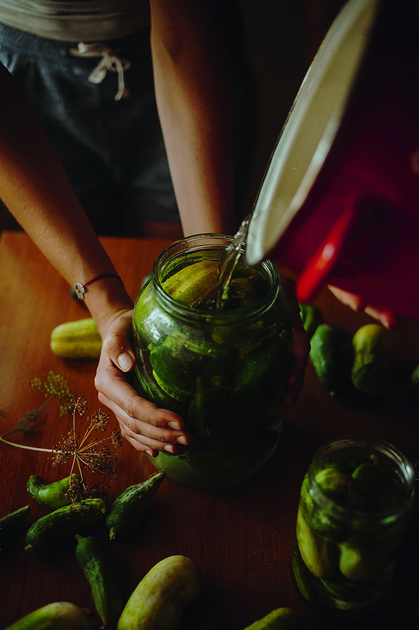 krastavci12-MM_MP-1-p1bpv8oh0t79bqv1dk1ntva