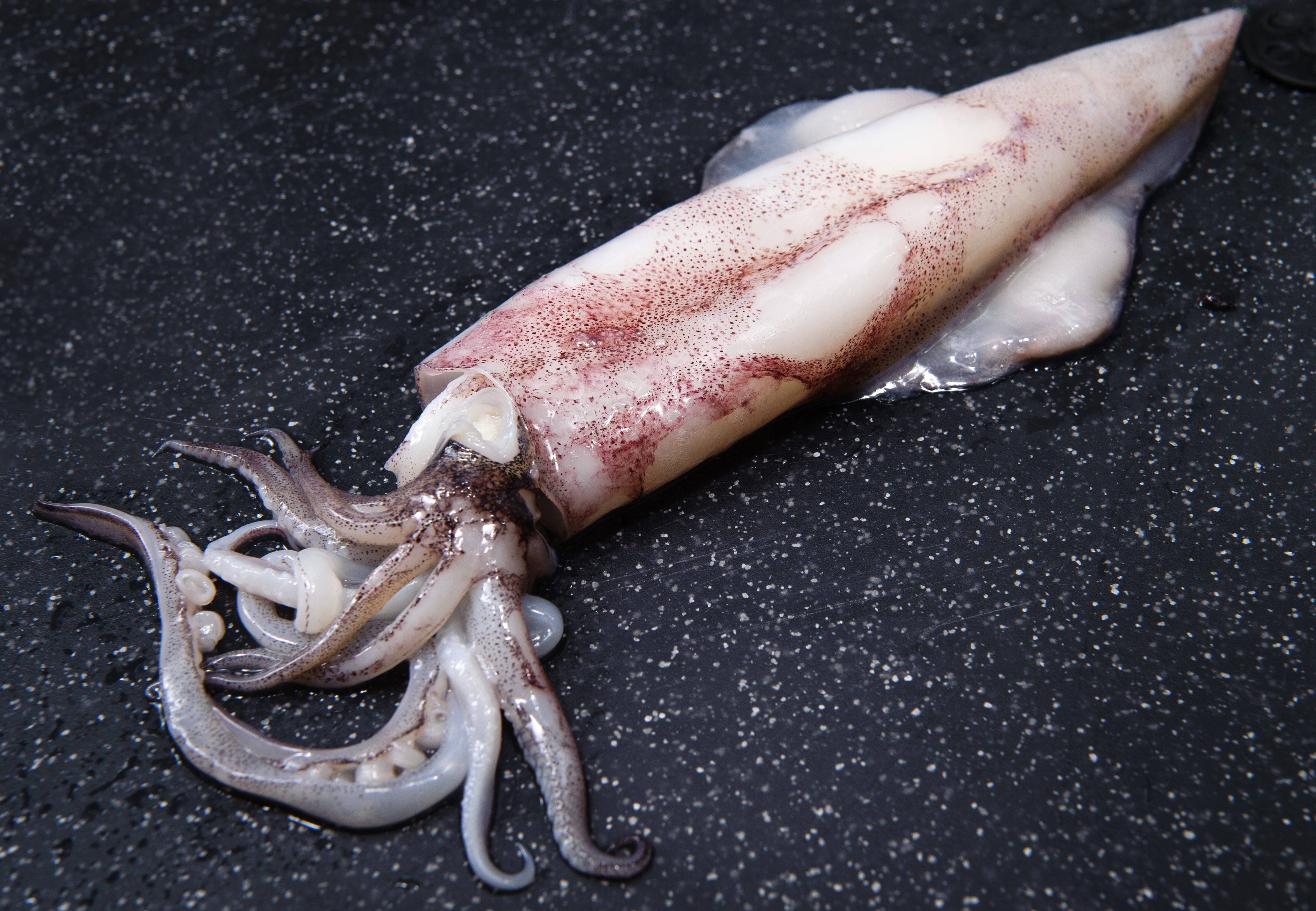 glavonosci_grabovac40-310717