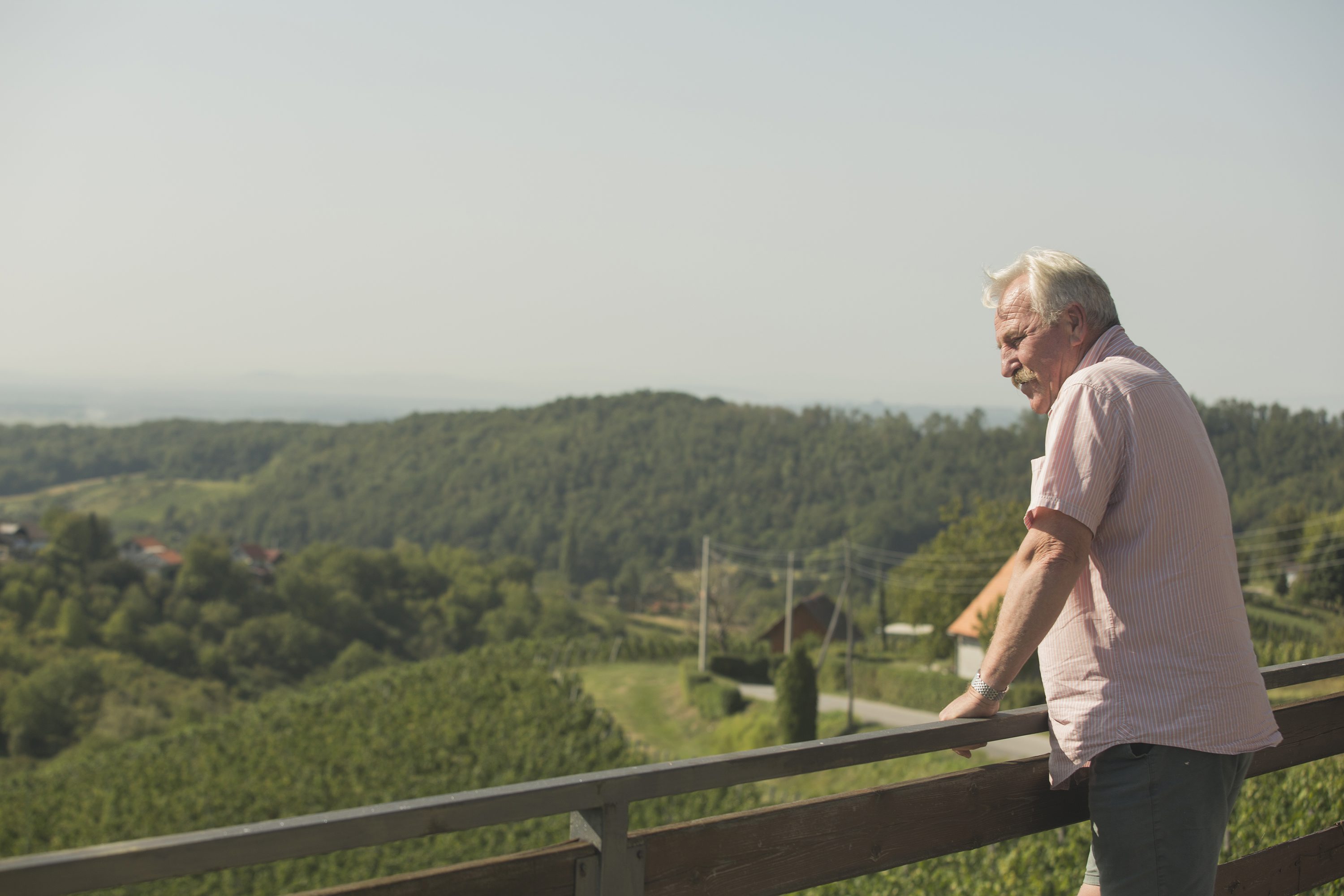 tomac__berba16-310817