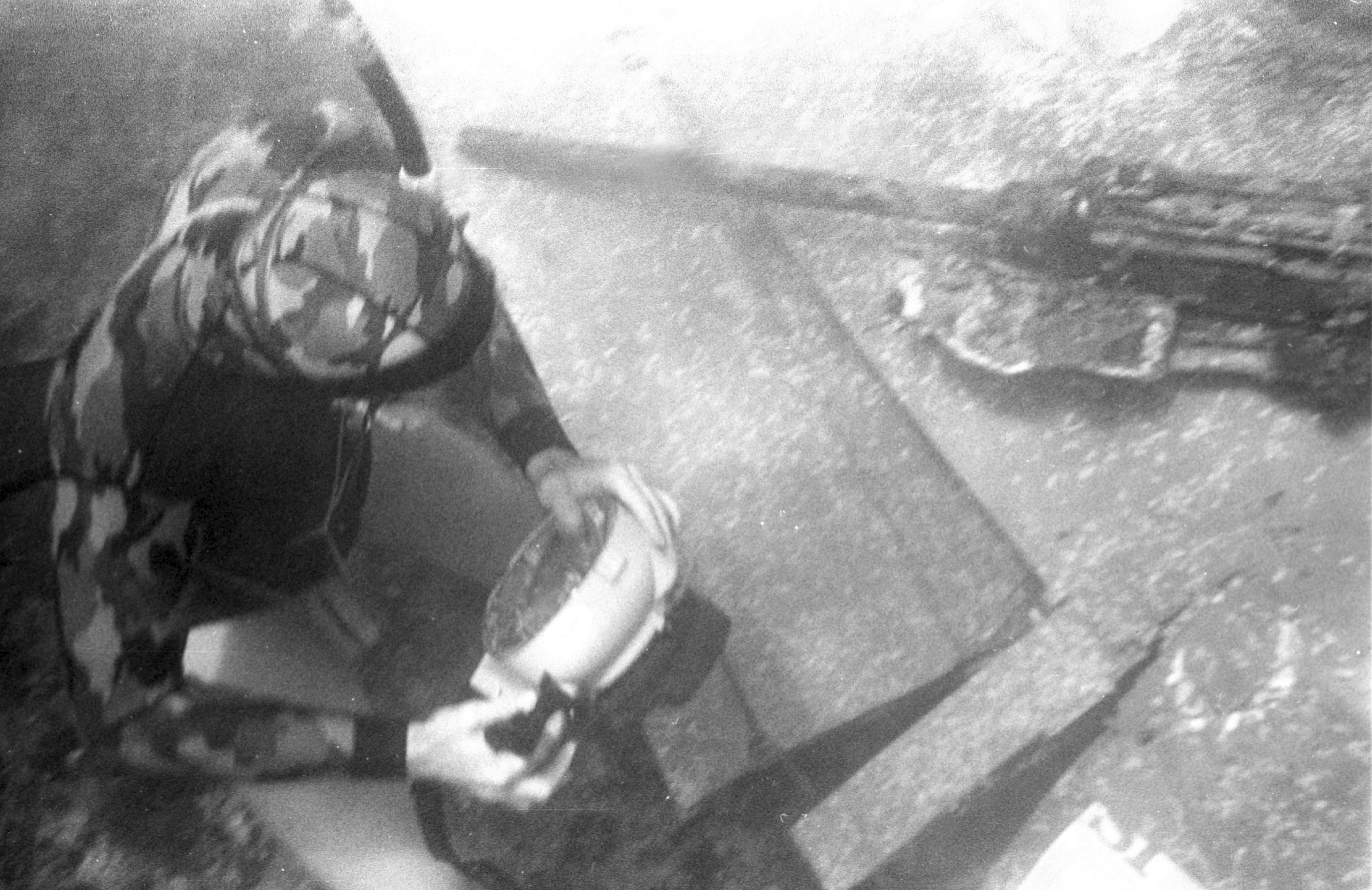 jastreb_1992_rogoznica1-140917