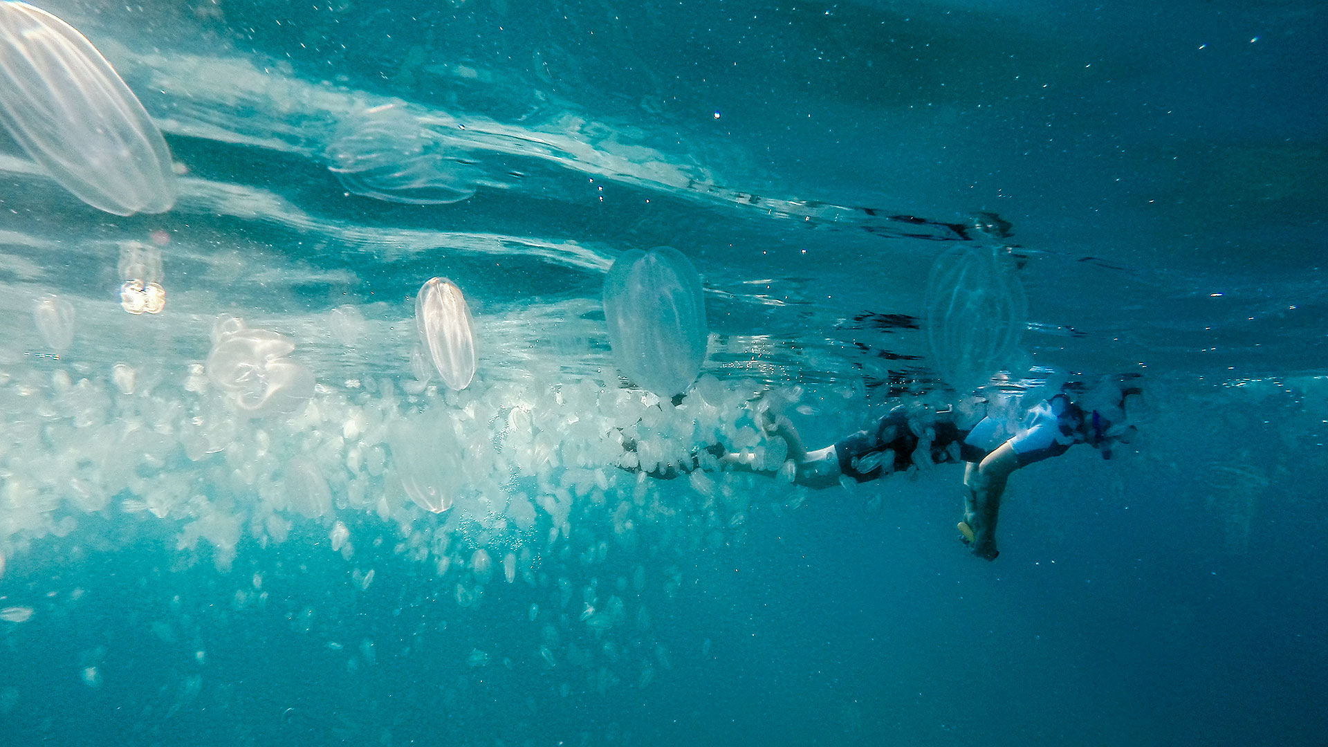 20728683_10213882504127446_4514153401218293421_o