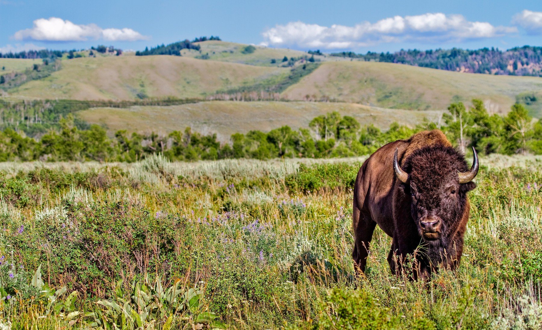 profimedia-0129565636