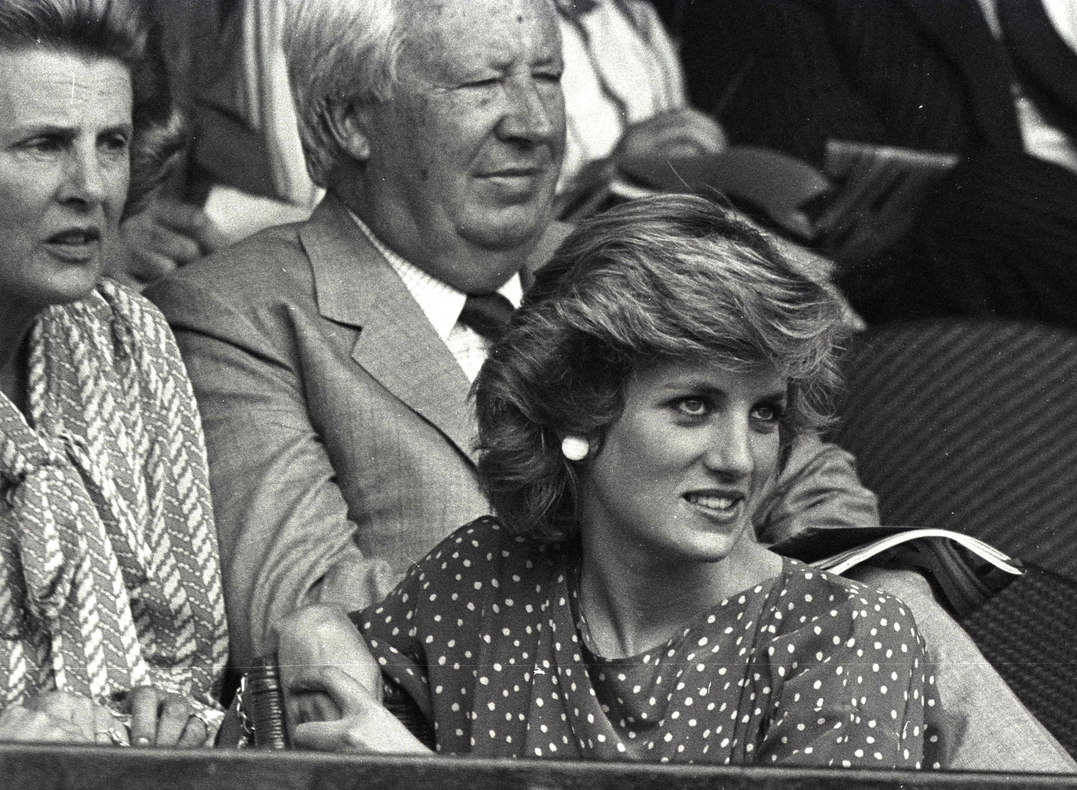 Pinceza Diana u Wimbledonu 1985.