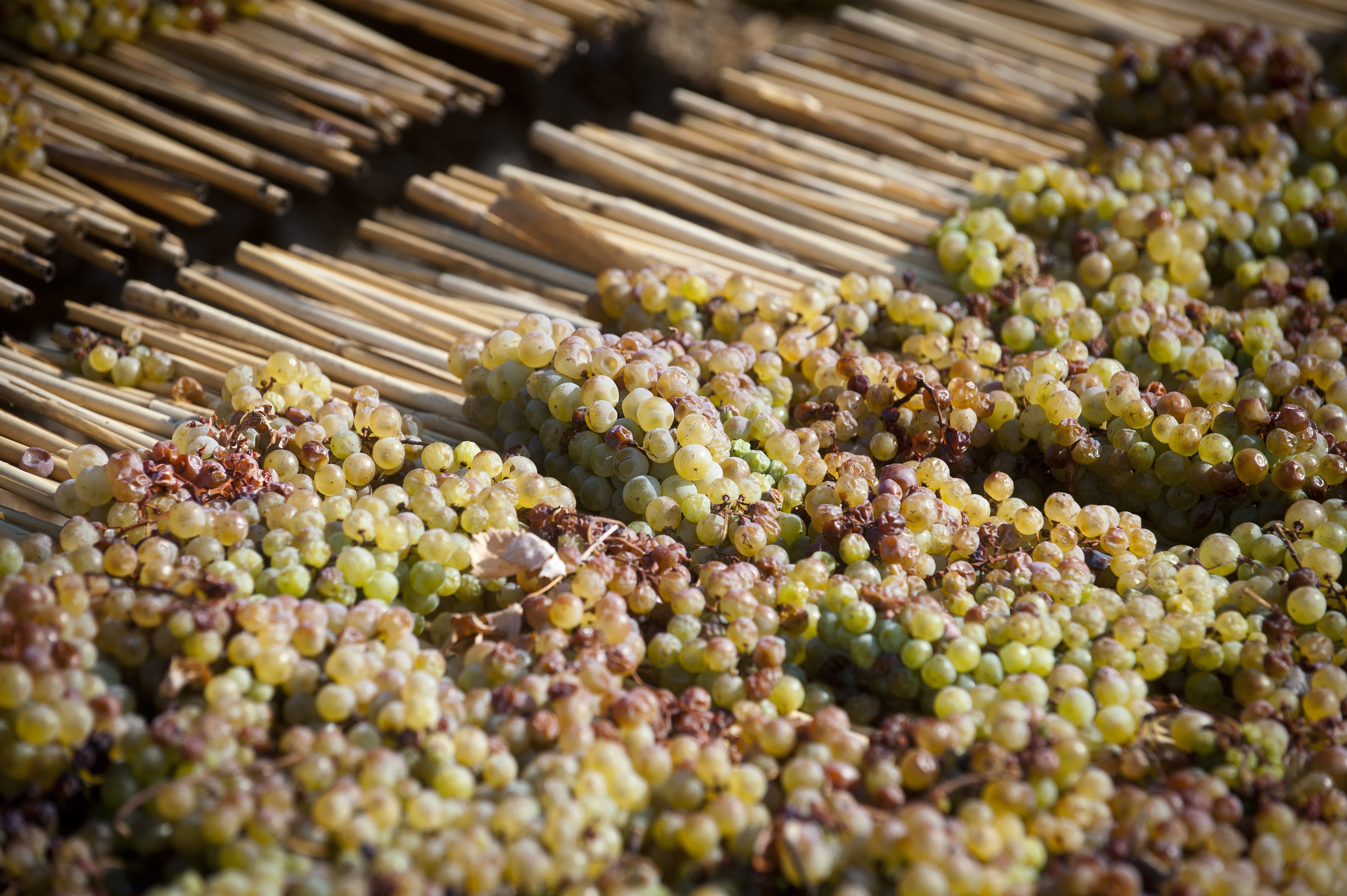 poljoprivreda15-300915