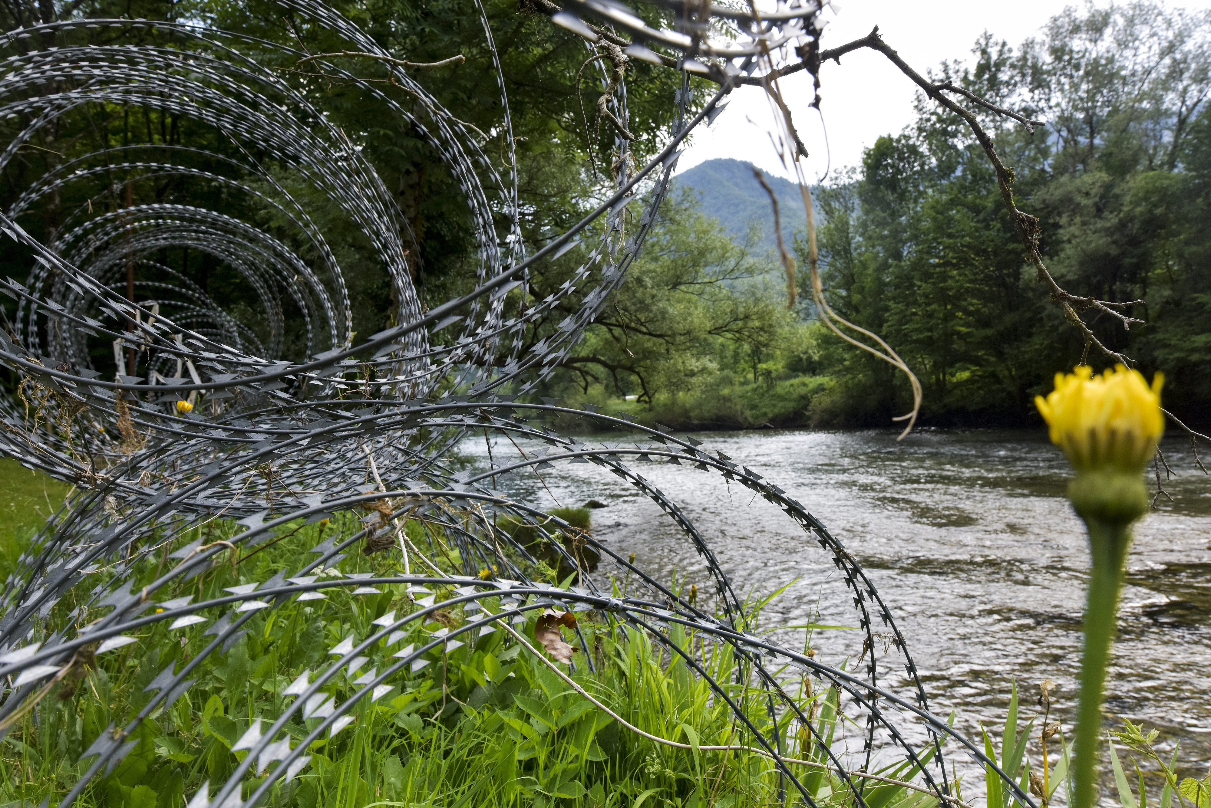 granica_zica3-300517