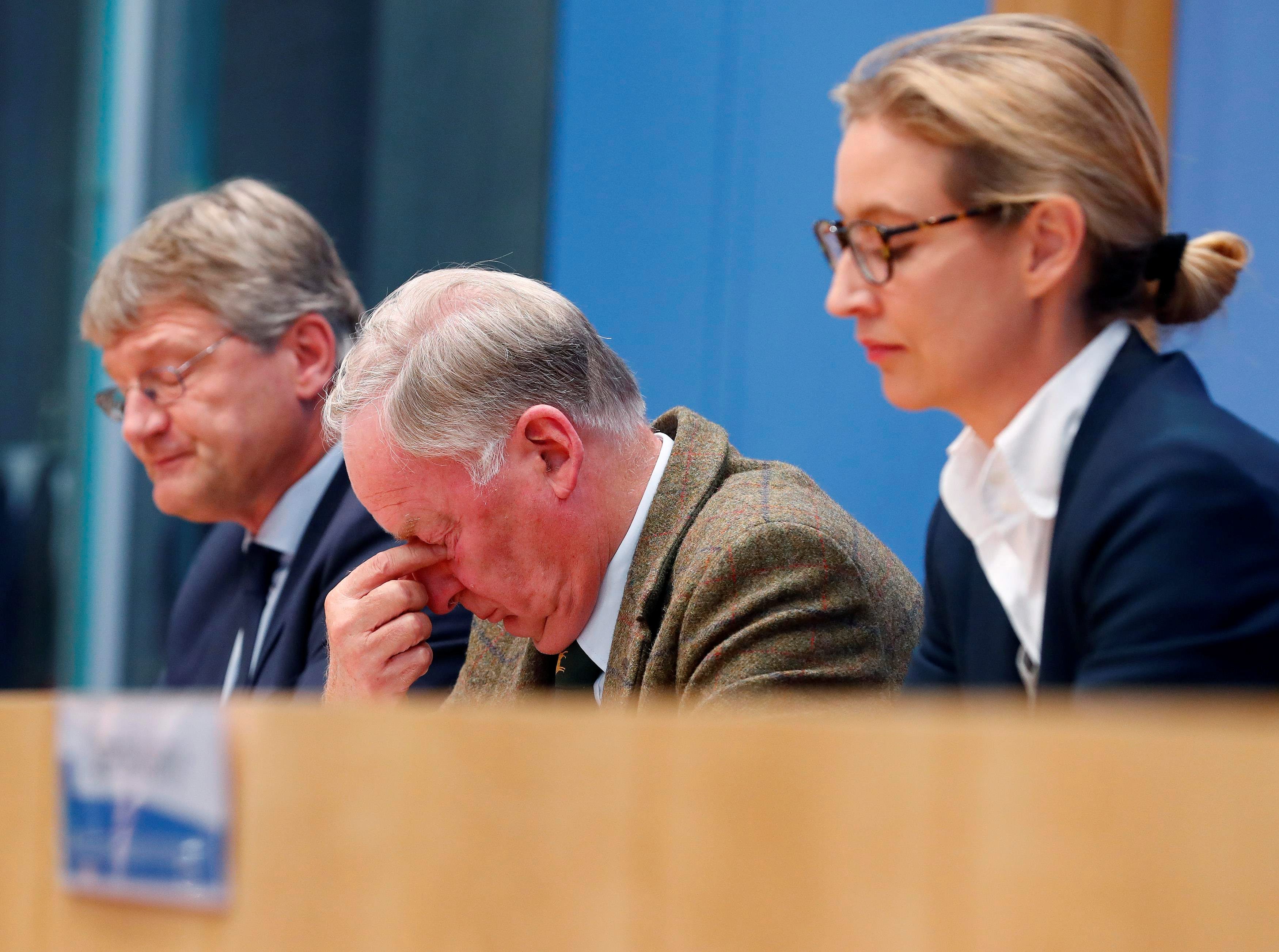 Joerg Meuthen, Alexander Gauland i Alice Weidel