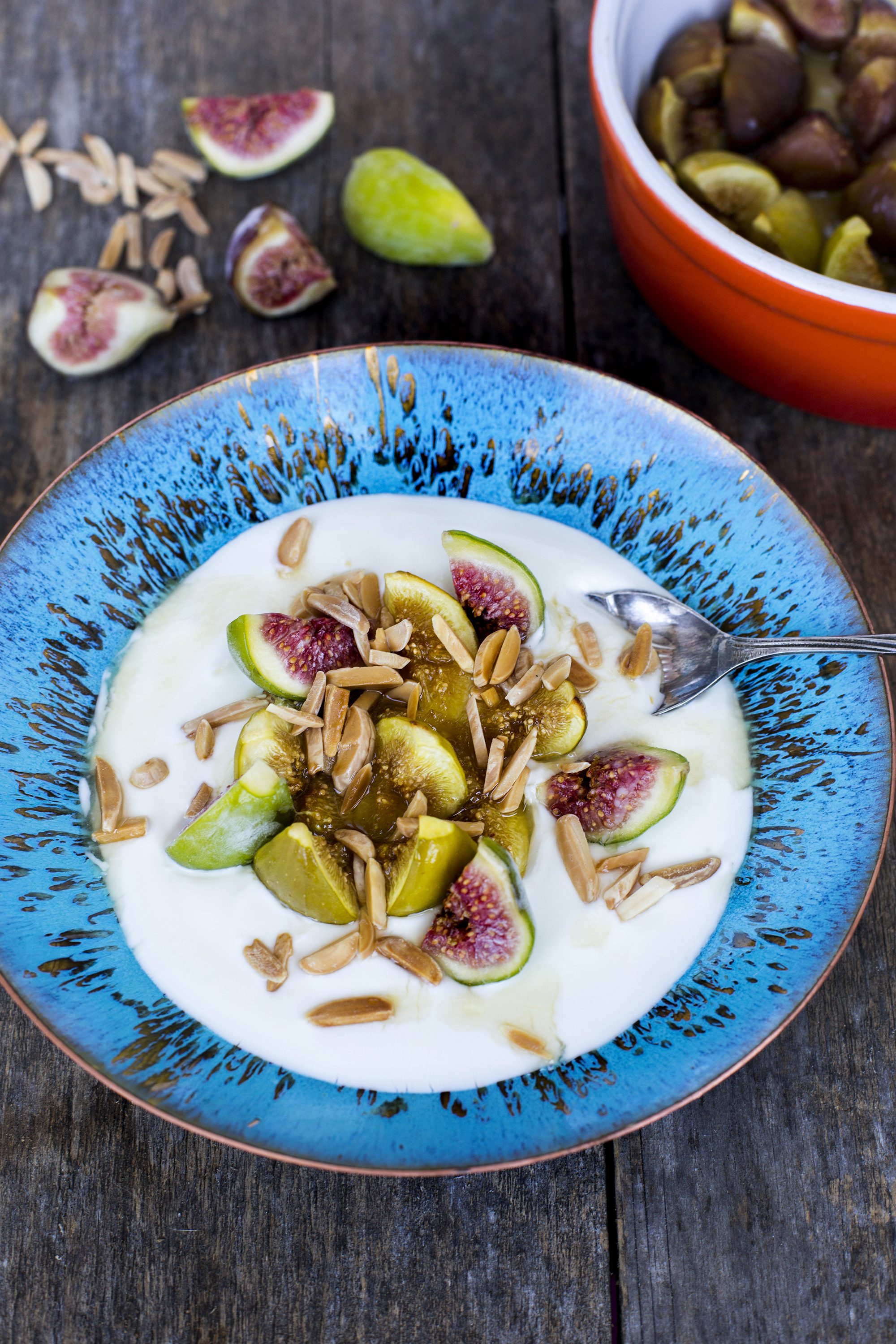 petric_smokve1-240817