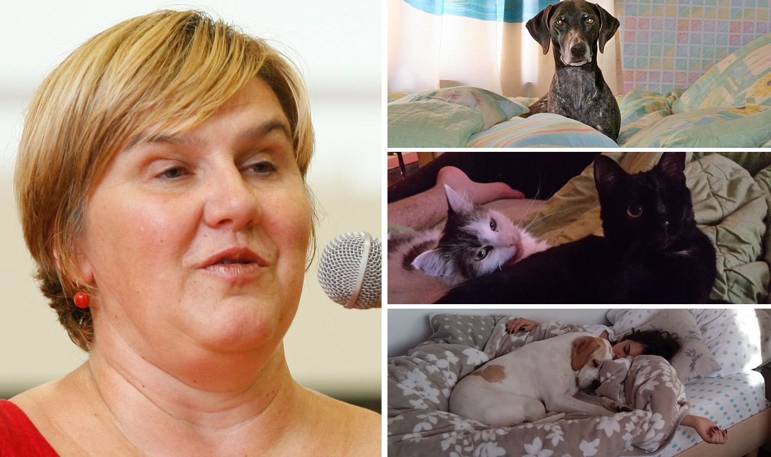 Željka Markić i kućni ljubimci u krevetima svojih vlasnika