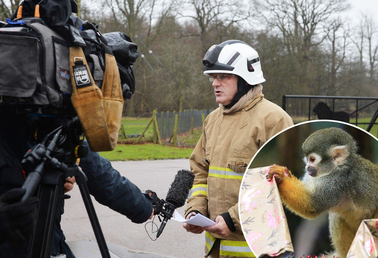 Woburn Safari Park, vatrogasac daje izjavu nakon požara u kojem je stradalo 13 majmuna. U krugu: Fotografija koju su u ovom parku objavili tjedan dana prije požara