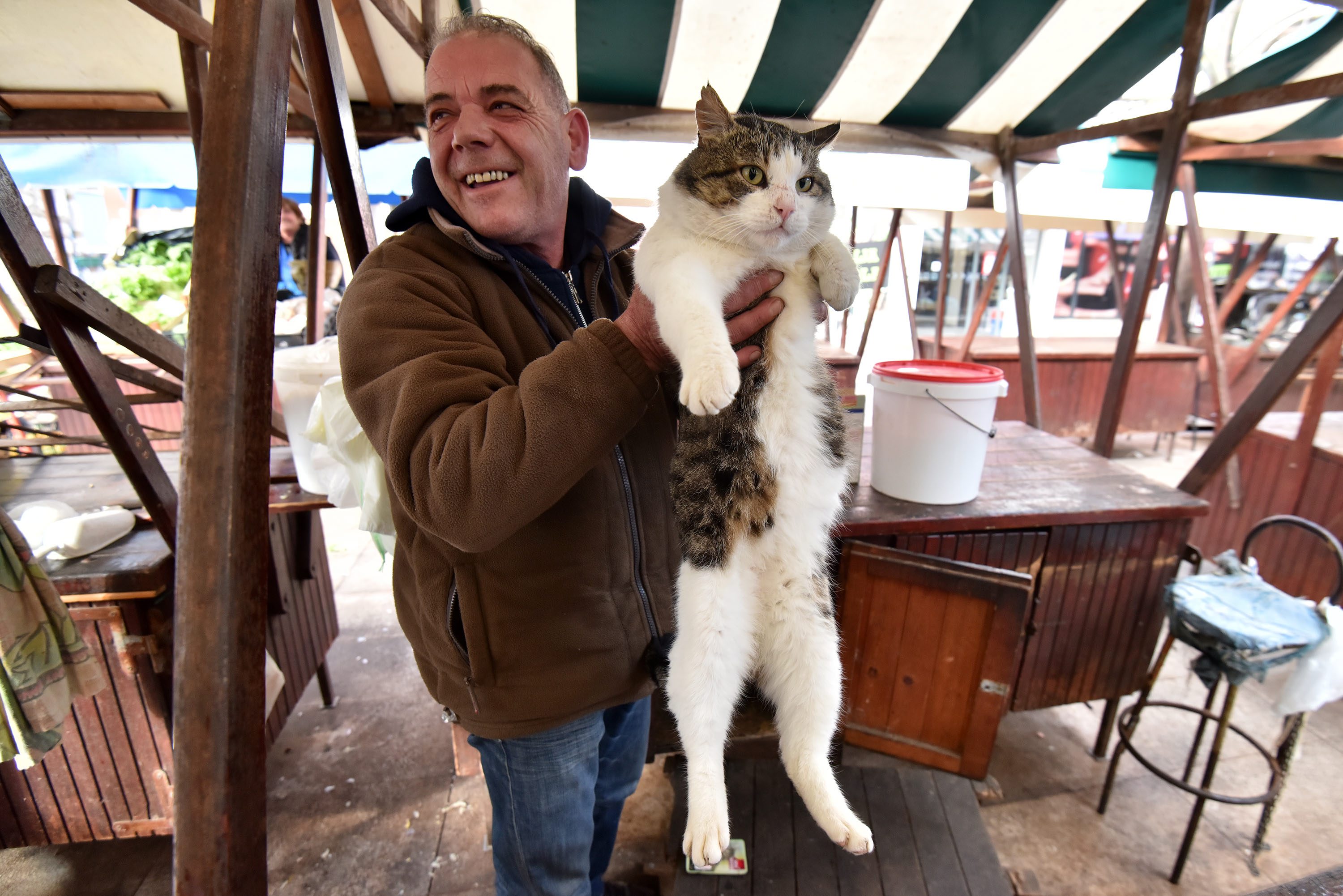 macak_pijaca1-230118