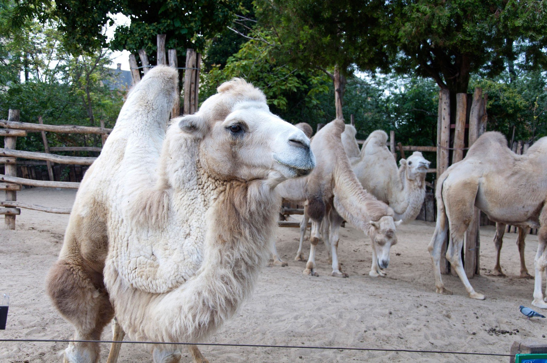 profimedia-0145644249