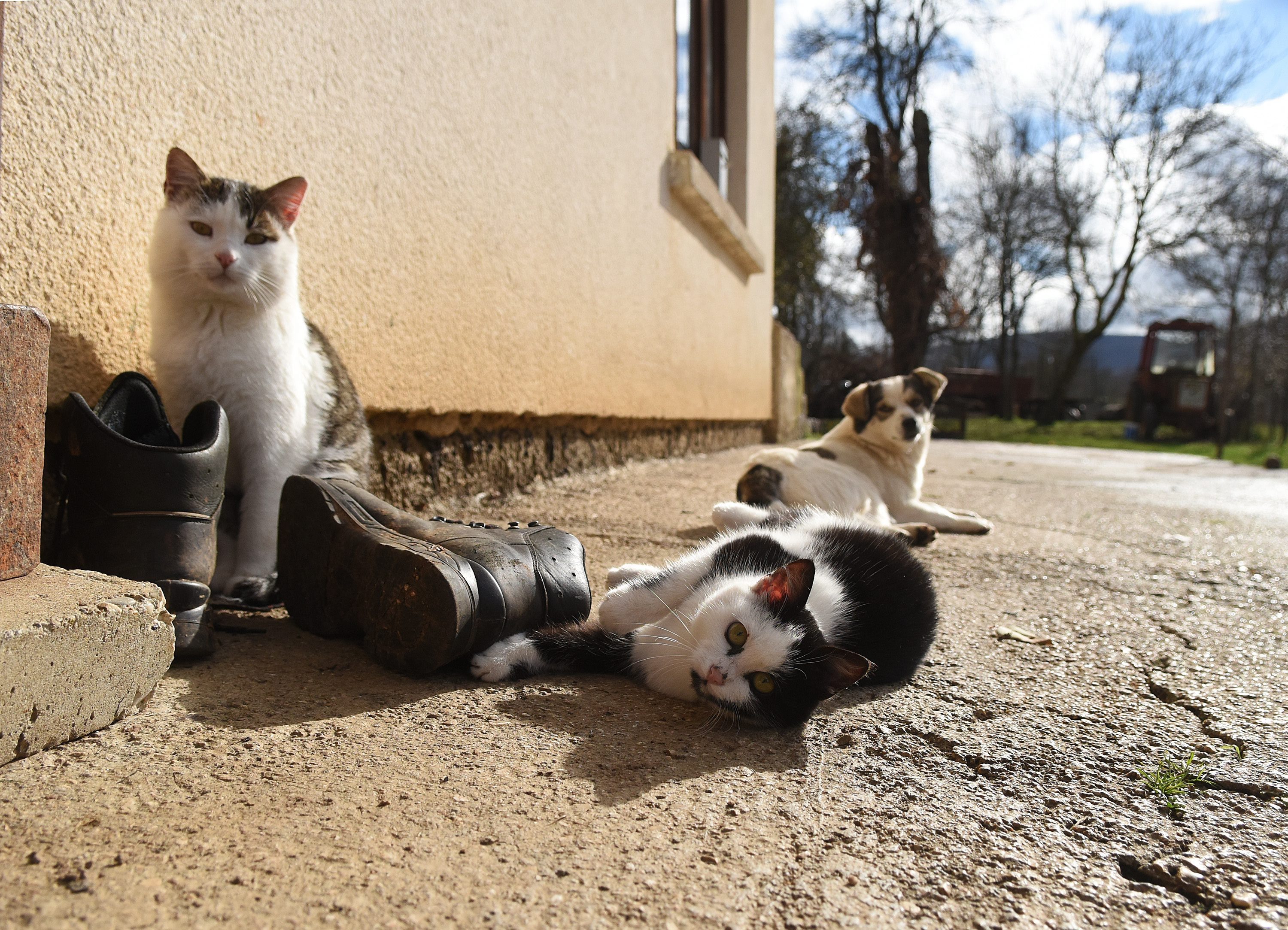 kosinj_jezero26-091117