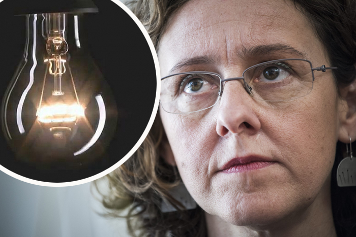 obuljen korzinek zarulja