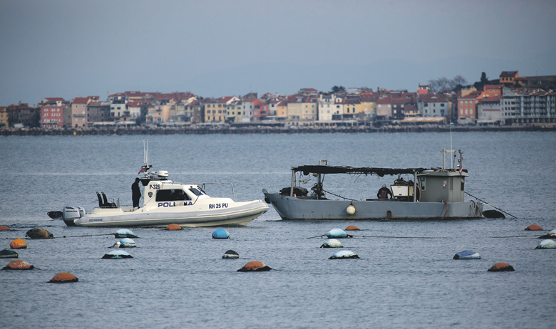 167264-213635-savudrija_pol