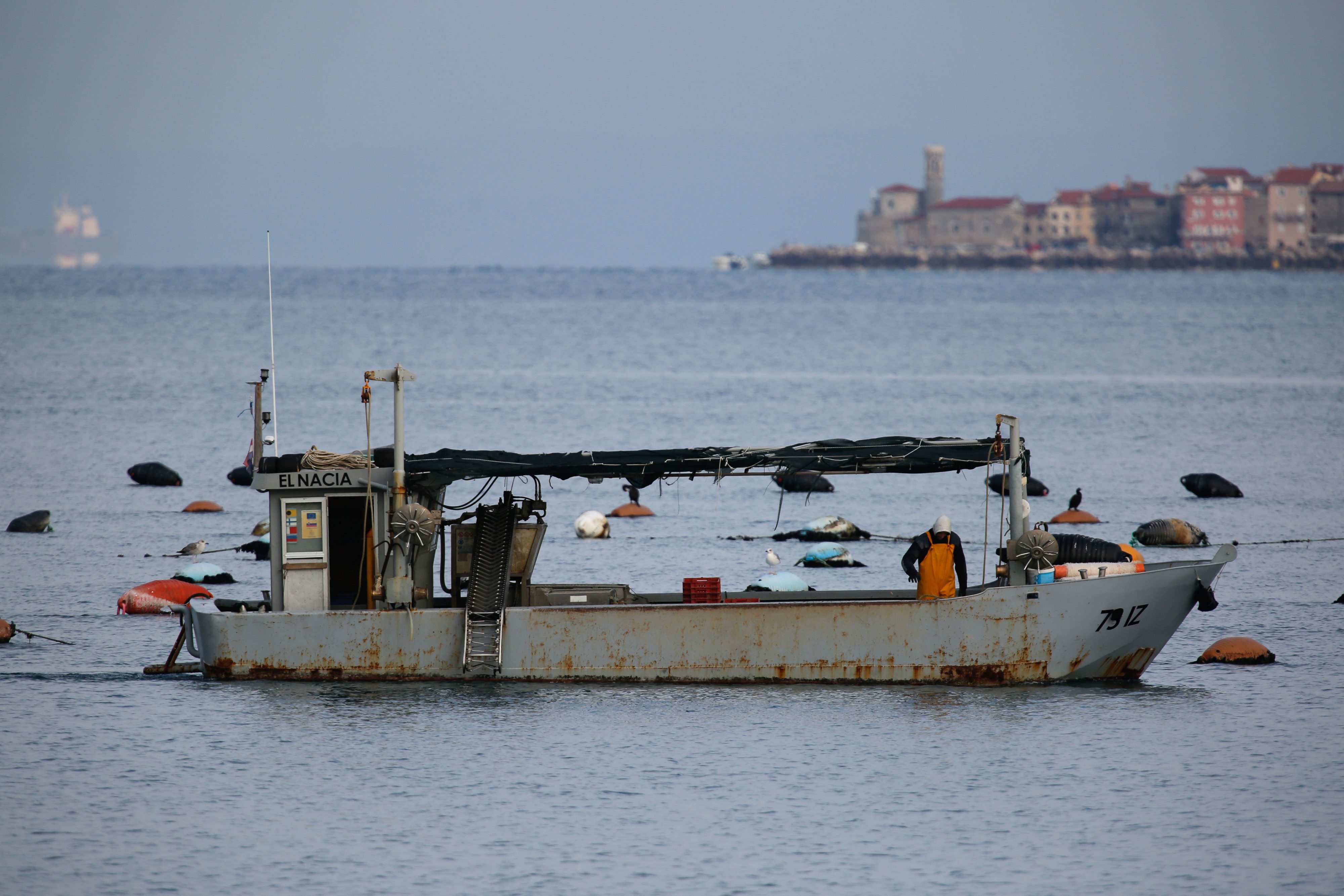 savudrija_policija14-301217