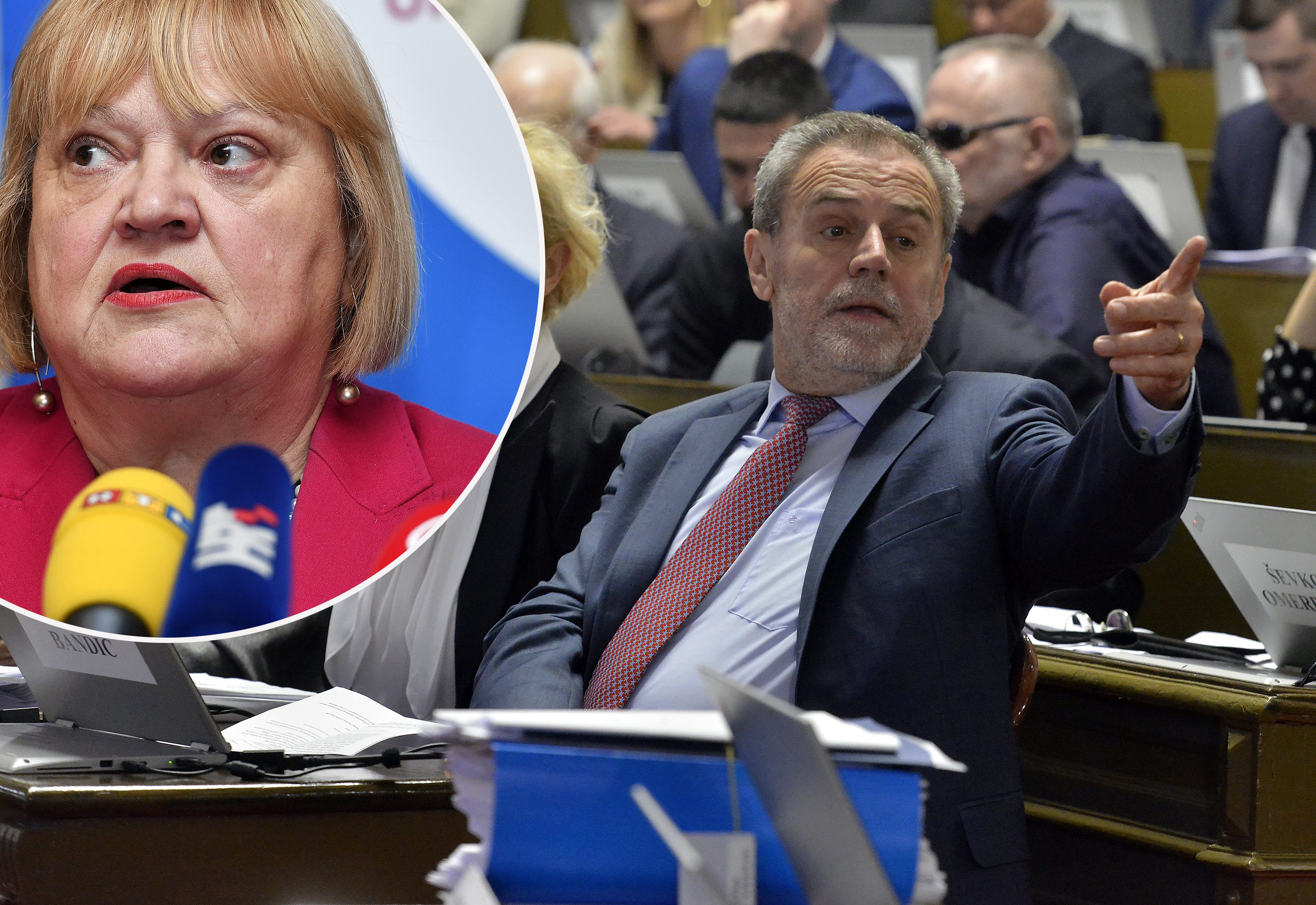 Bandić Mrak Taritaš