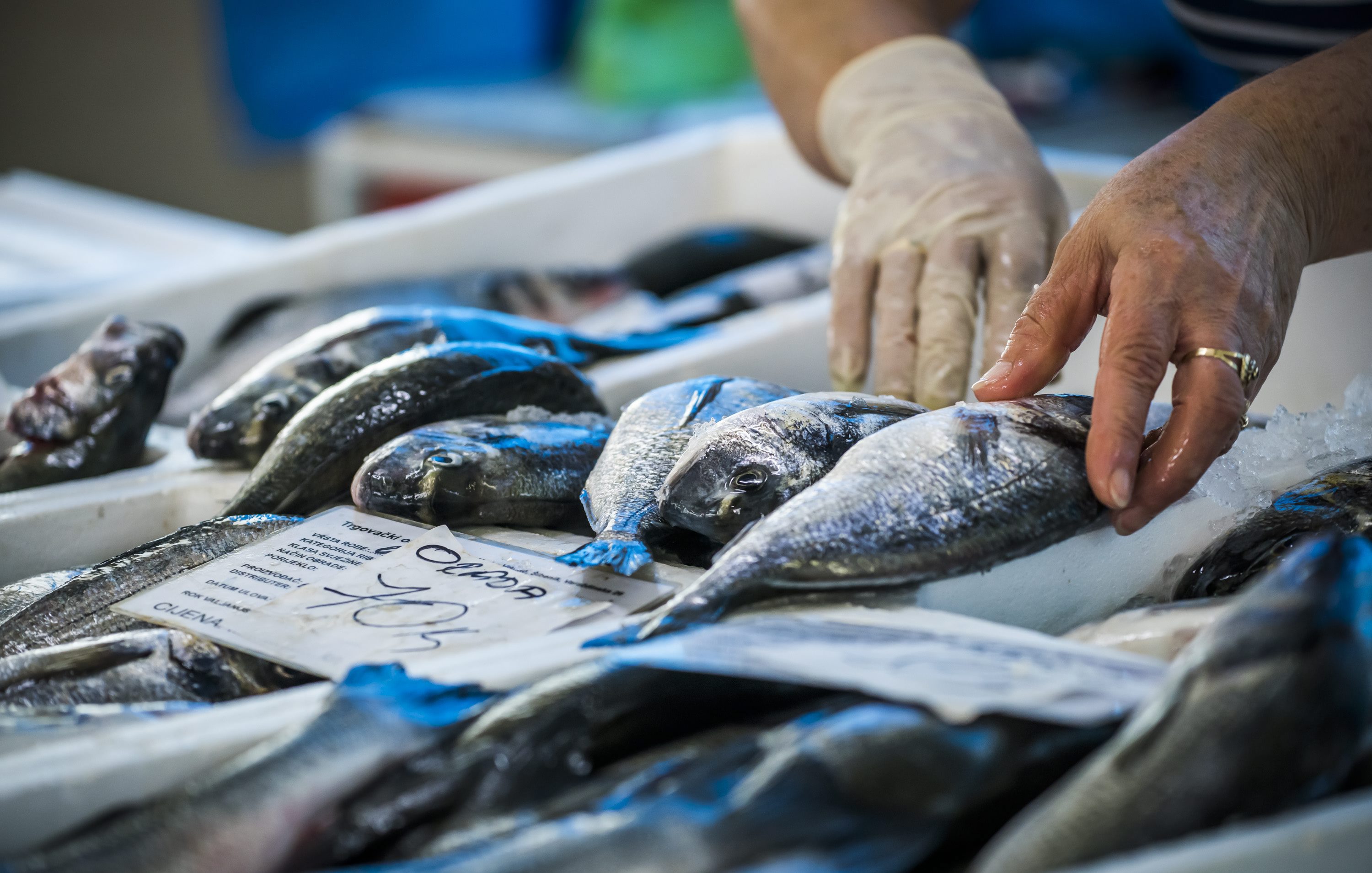 sibenik_peskarija11-11082017