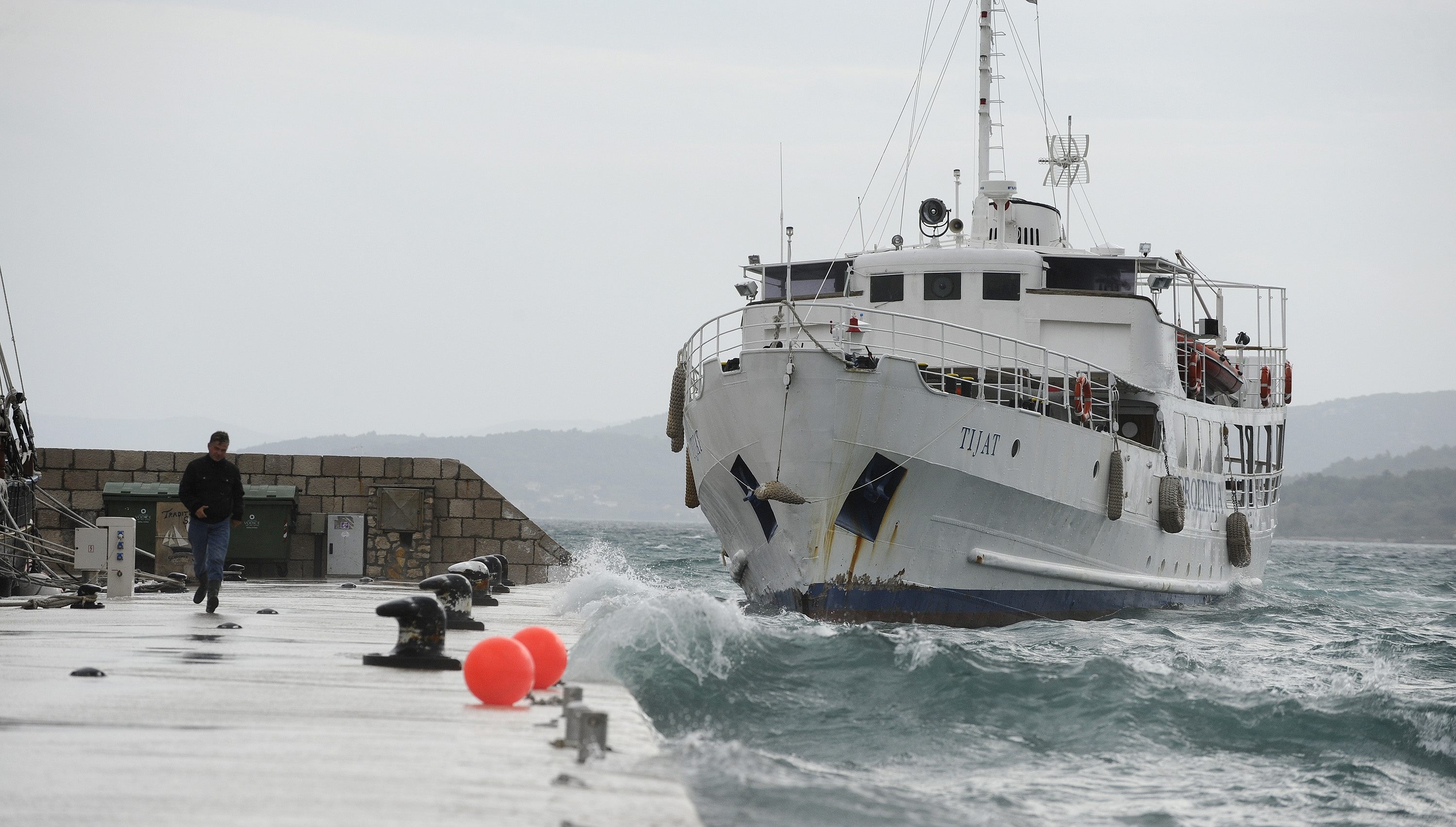 na fotografiji: Tijat