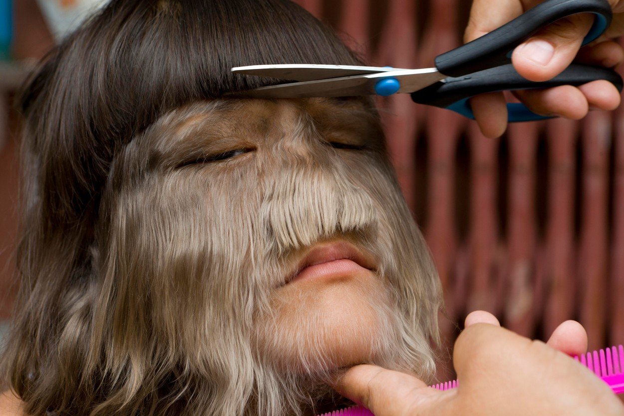 profimedia-0090937927