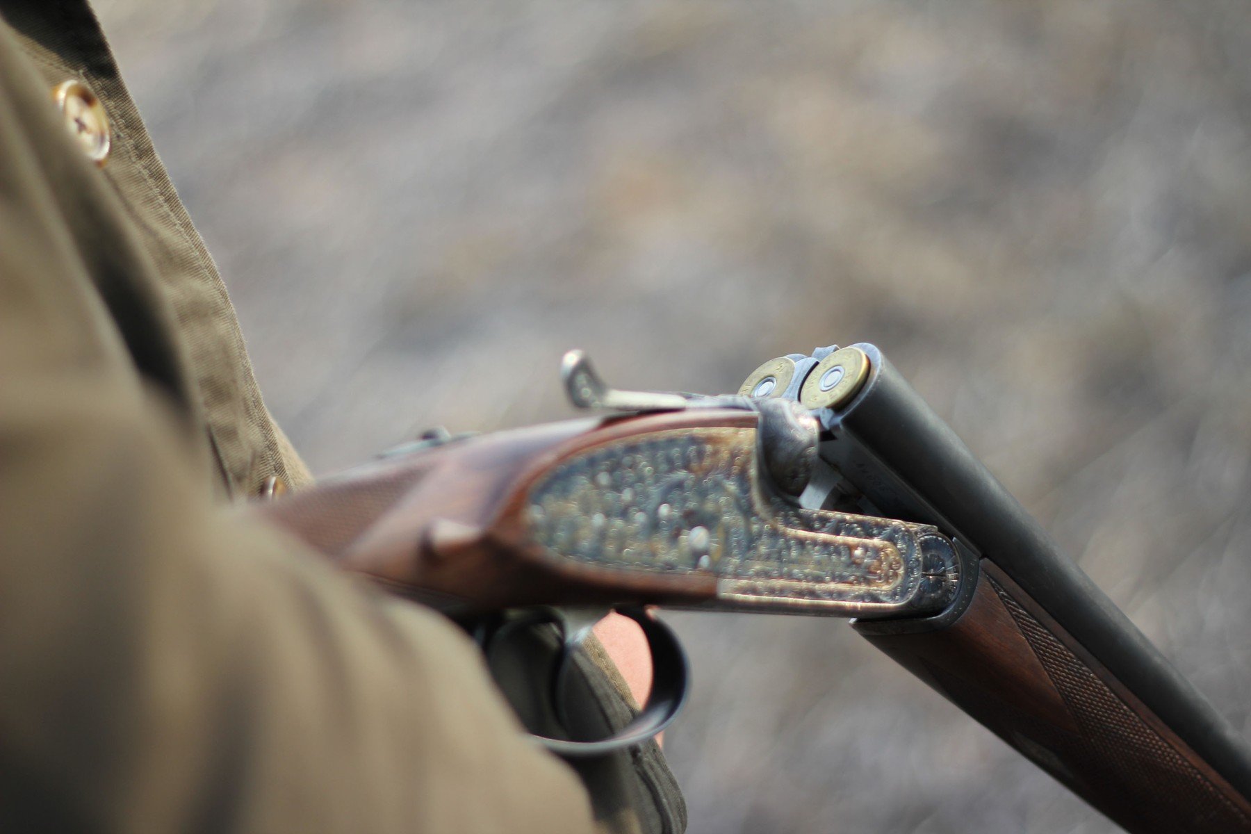 profimedia-0135810492