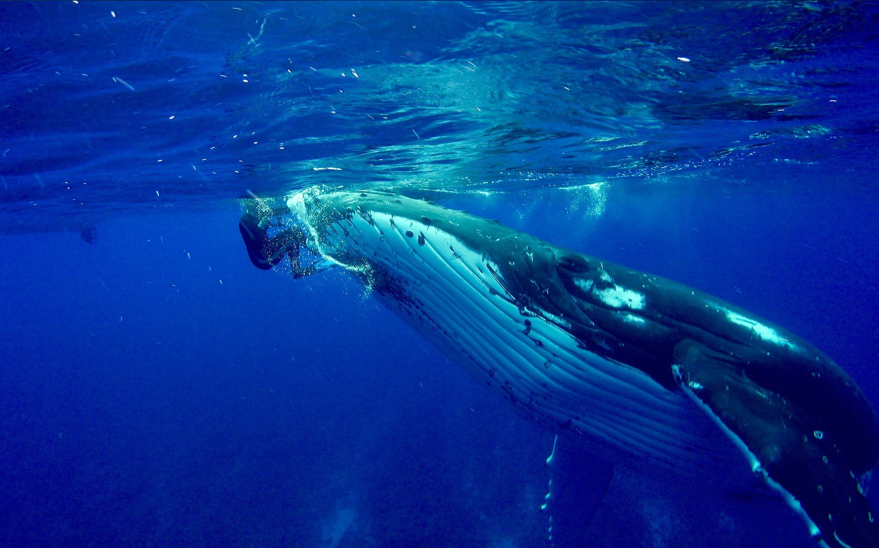 profimedia-0359547927