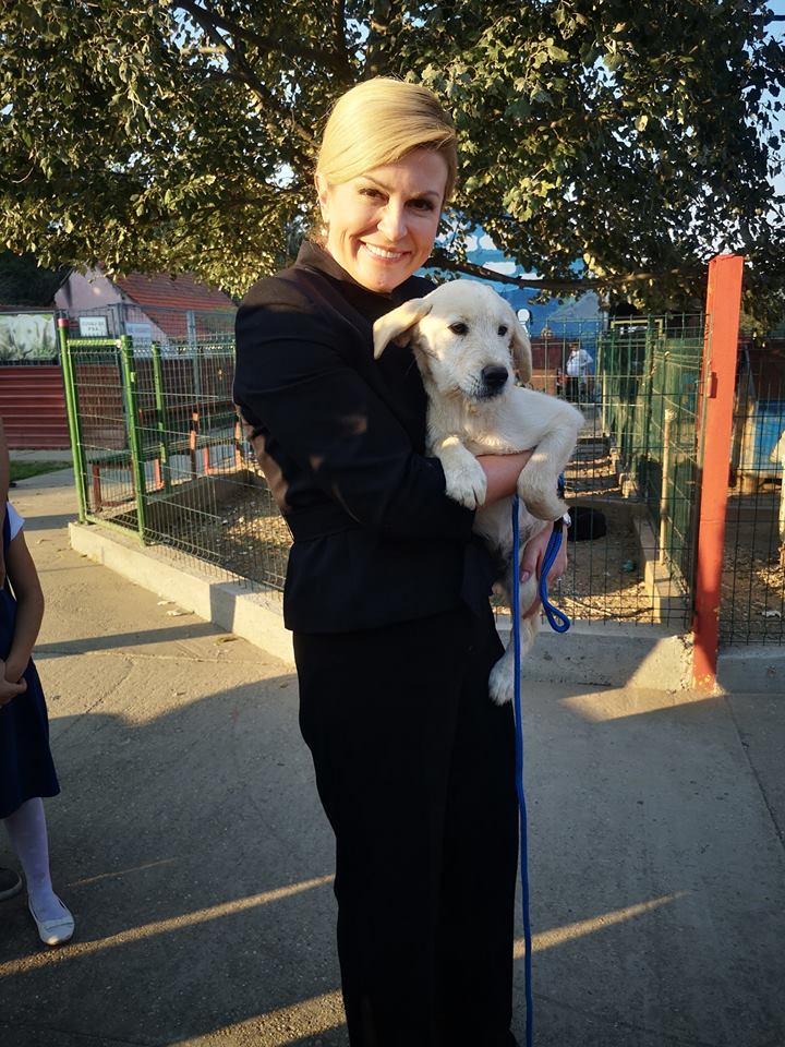 43623081_1015005605339263_2049972784980819968_n