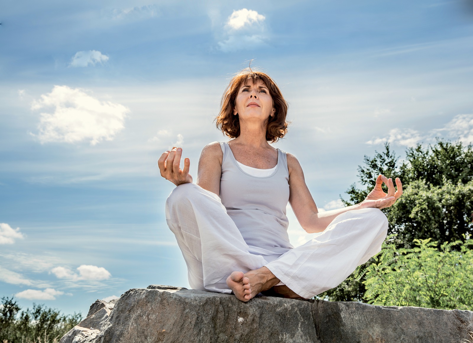 shutterstock_365750831_copie