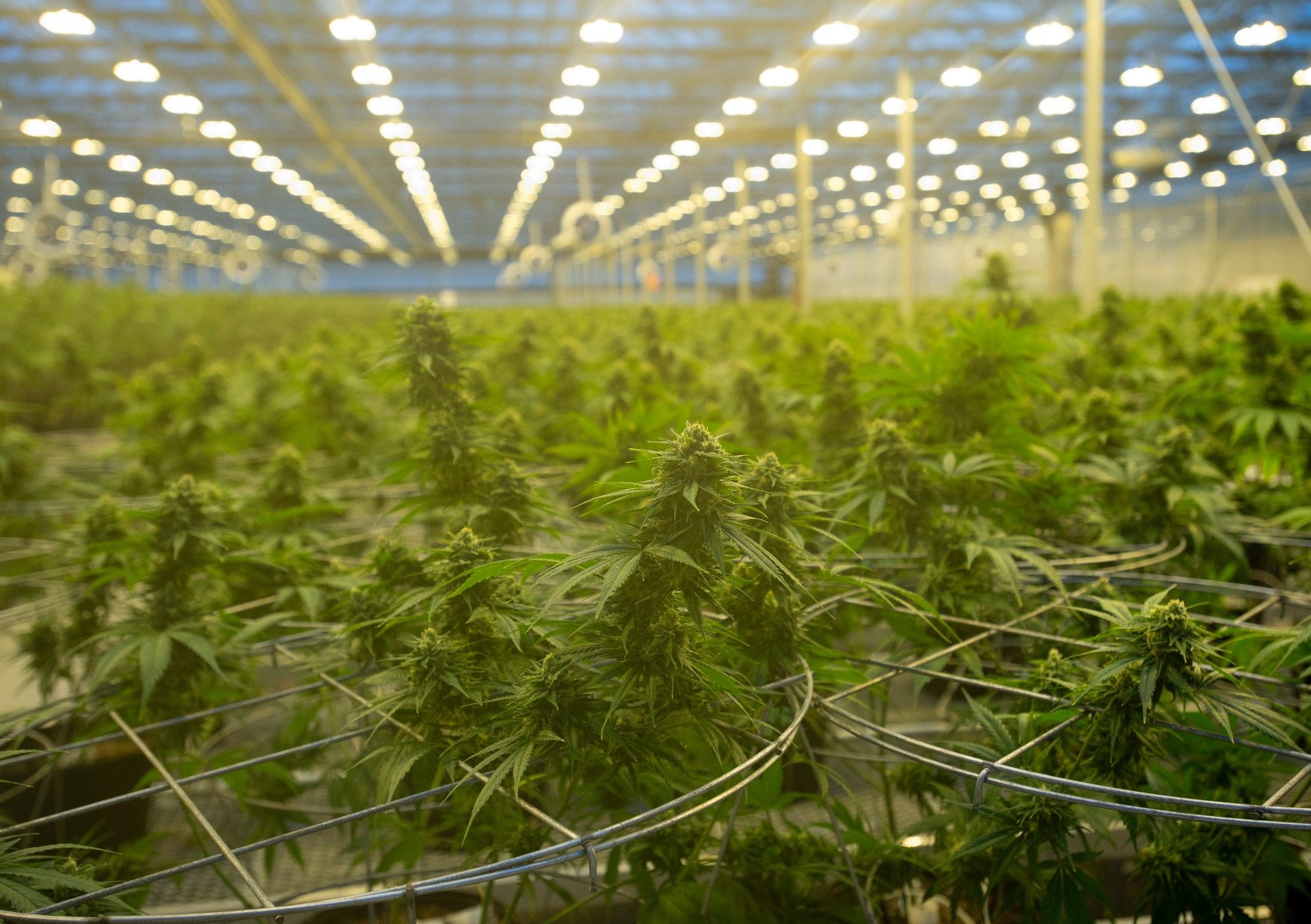 profimedia-0390751789