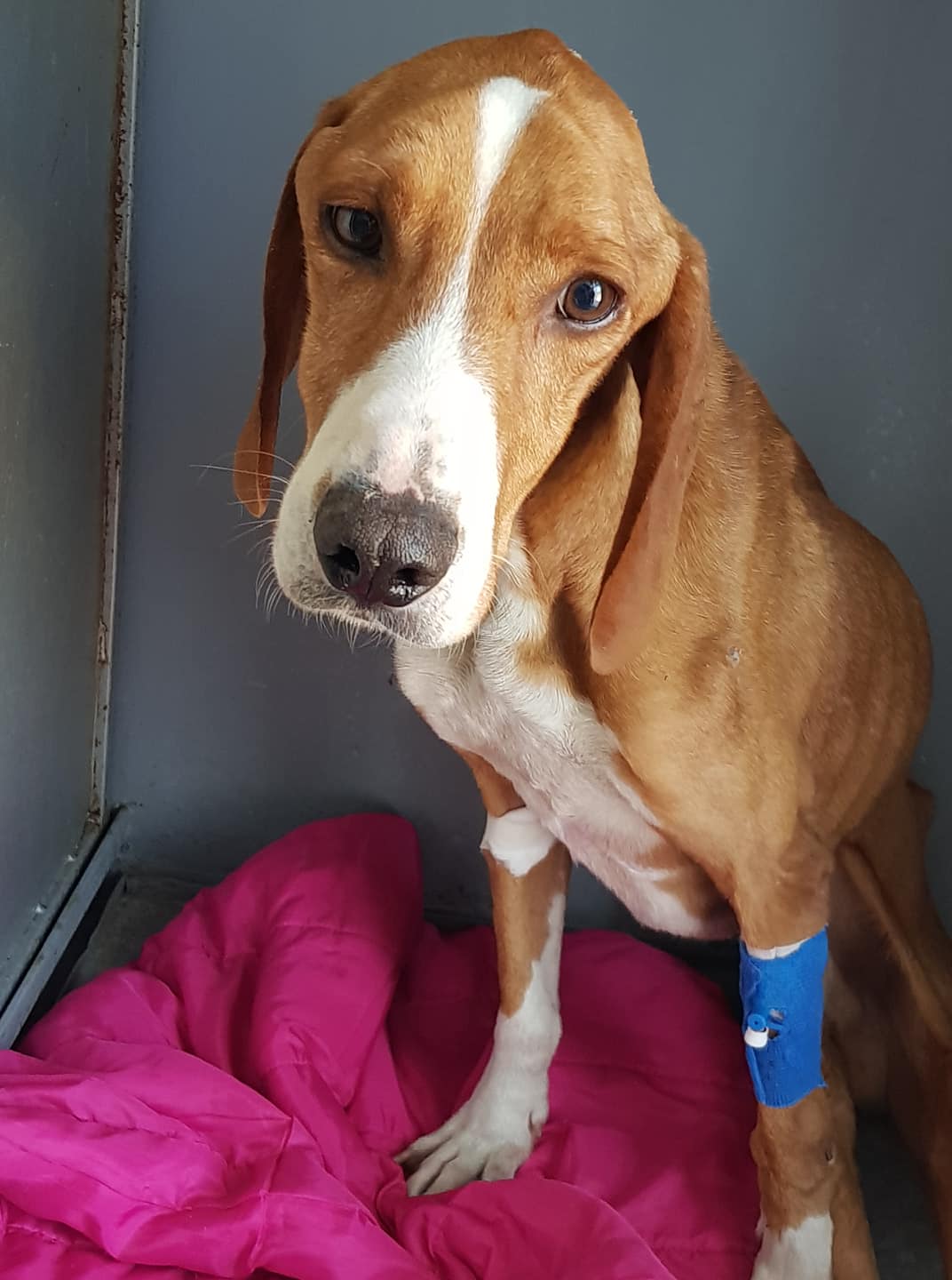 42897528_686004411774218_2577405678146551808_o