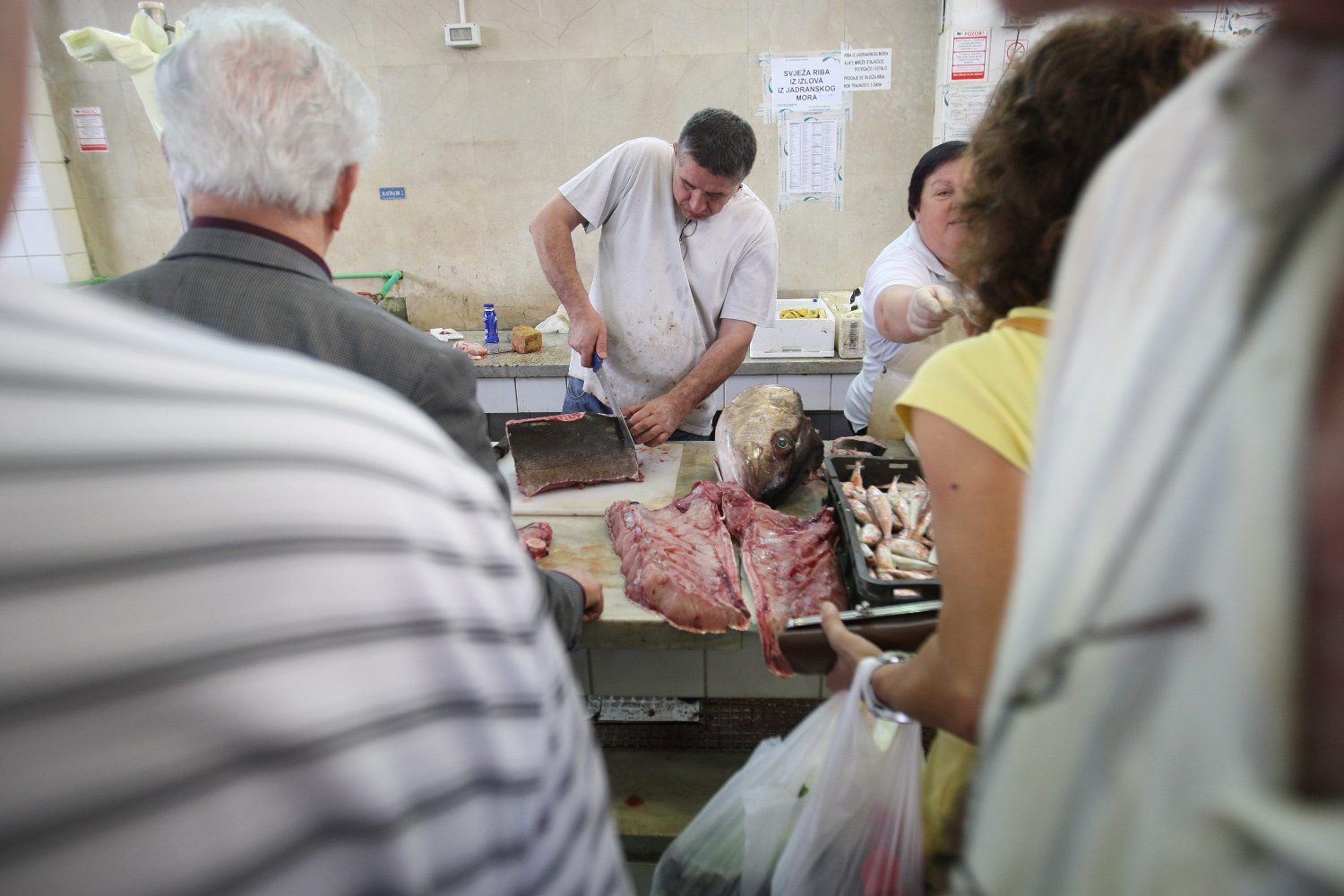 gof_ribarnica2-131014