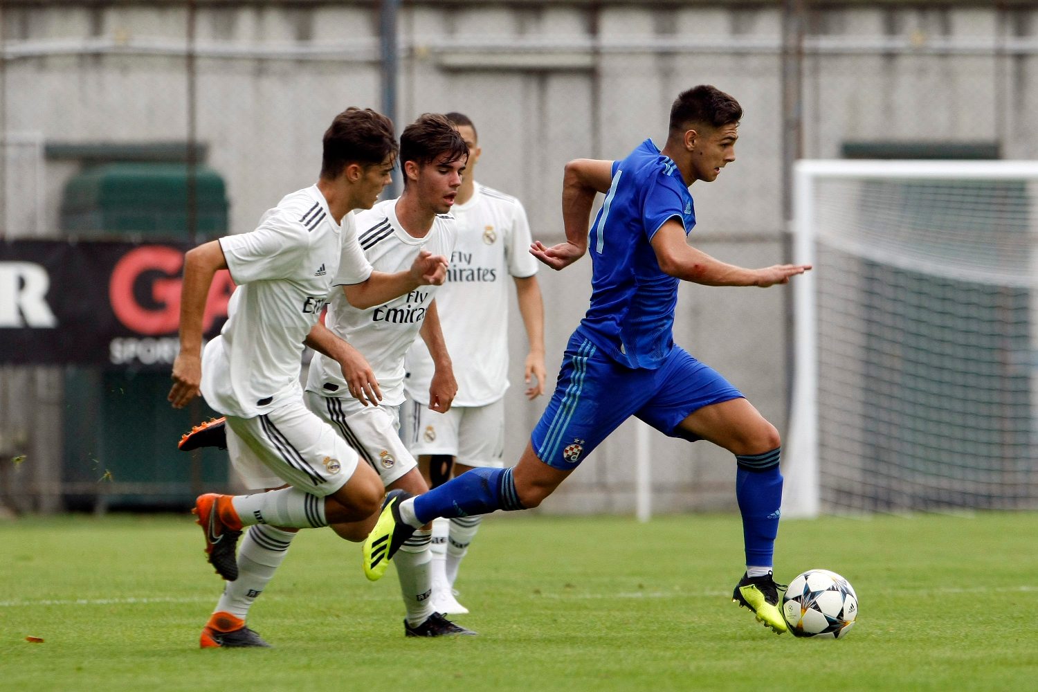 dinamo_real8-110818