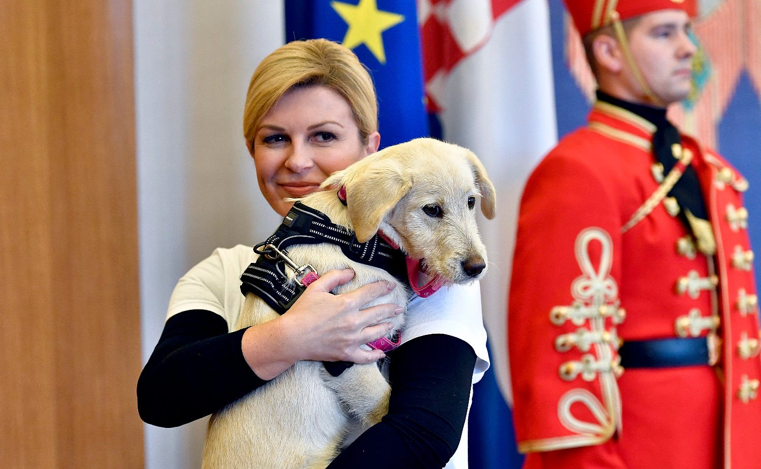 kolinda_udomljavanje1-271018