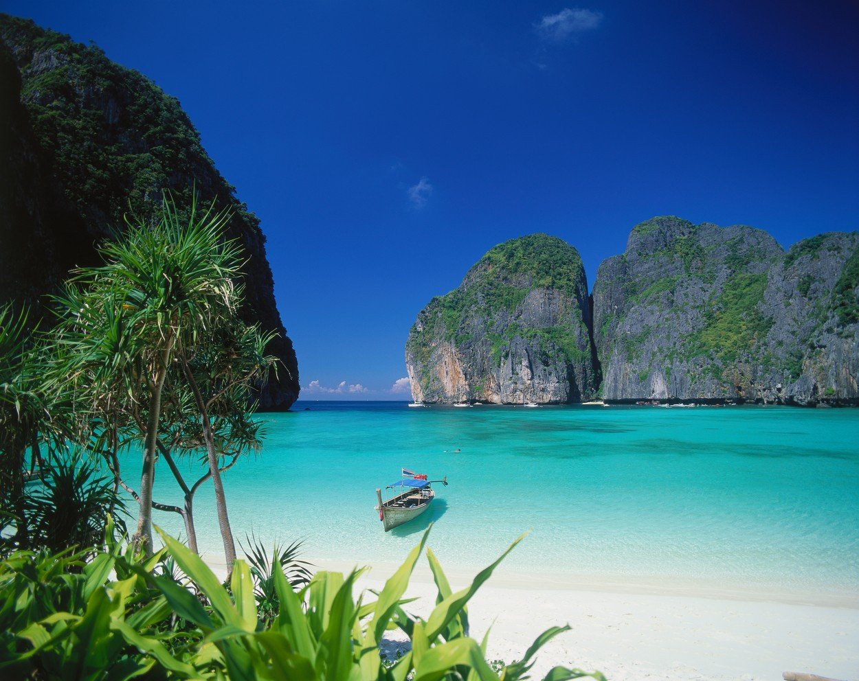 profimedia-0081988657