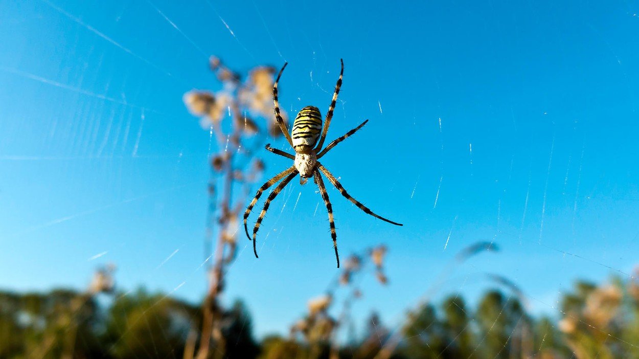 profimedia-0262782707