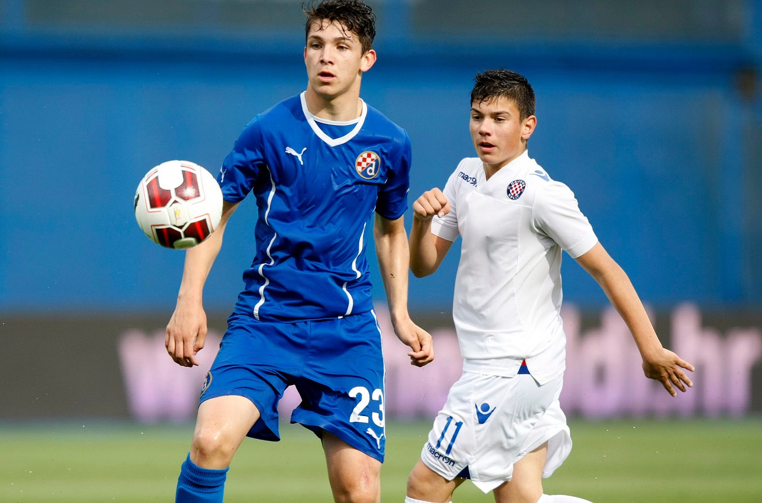 dinamo_