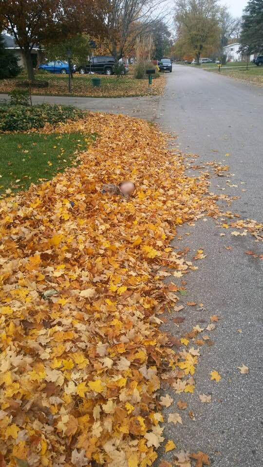 983f57369bd782d03f52c763c1a07d57