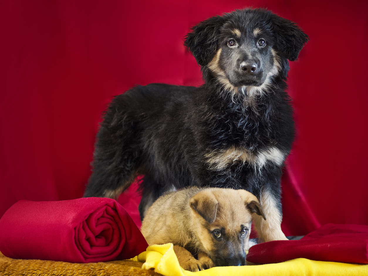 Zima topla svima - fotografija