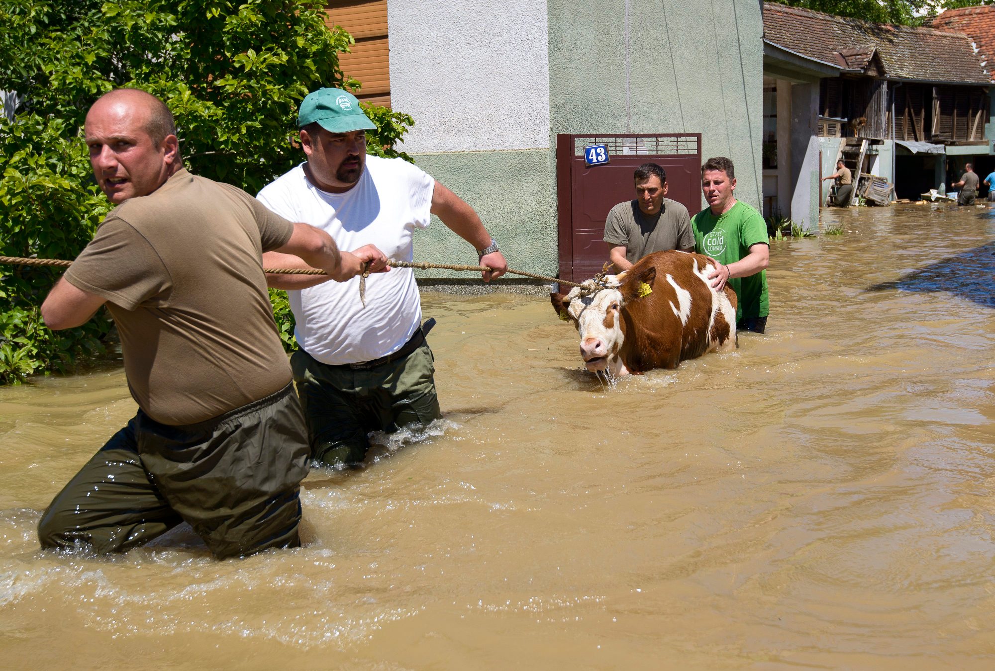 Flood in Slavonija,river Sava