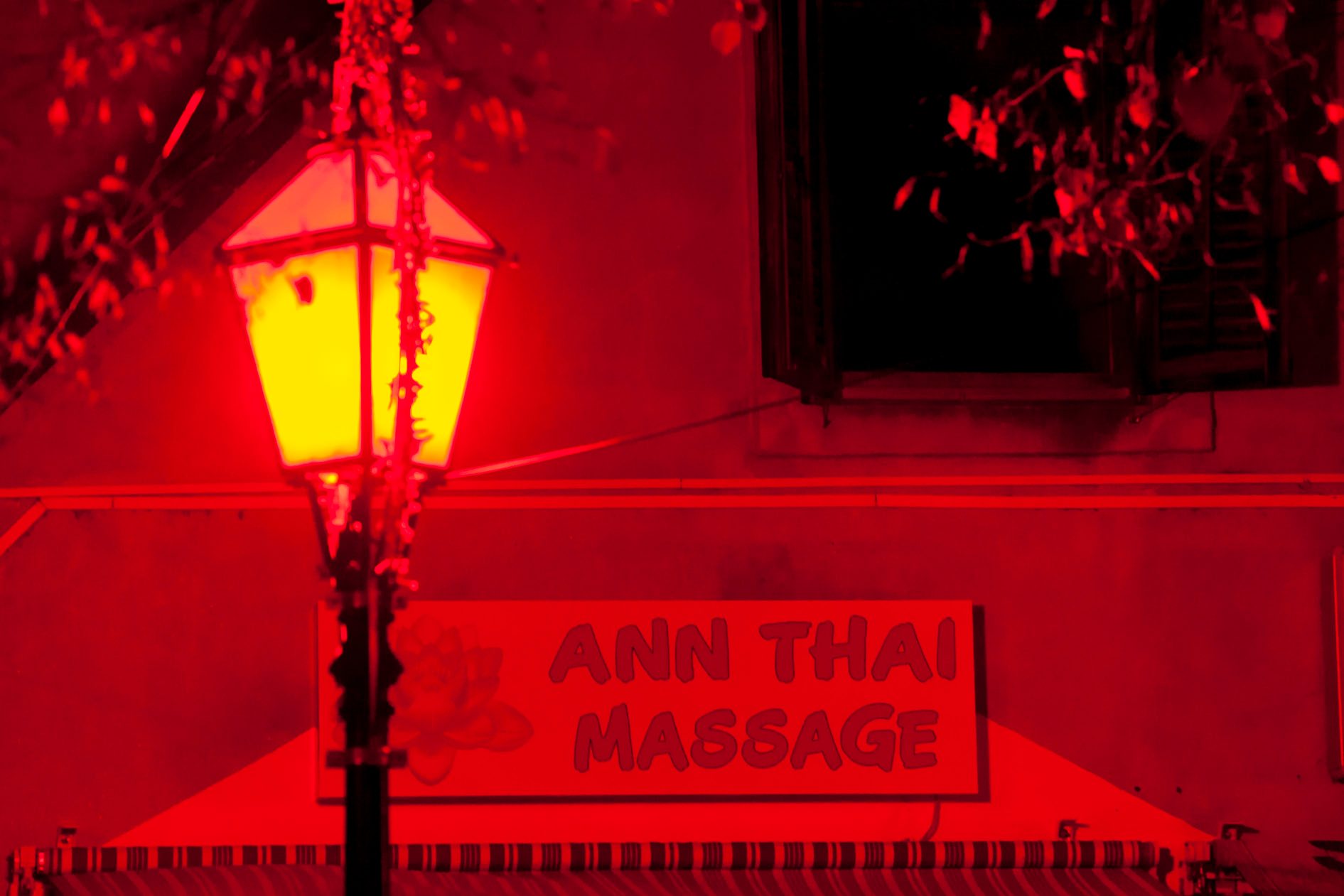 crvena_tkalca-281118