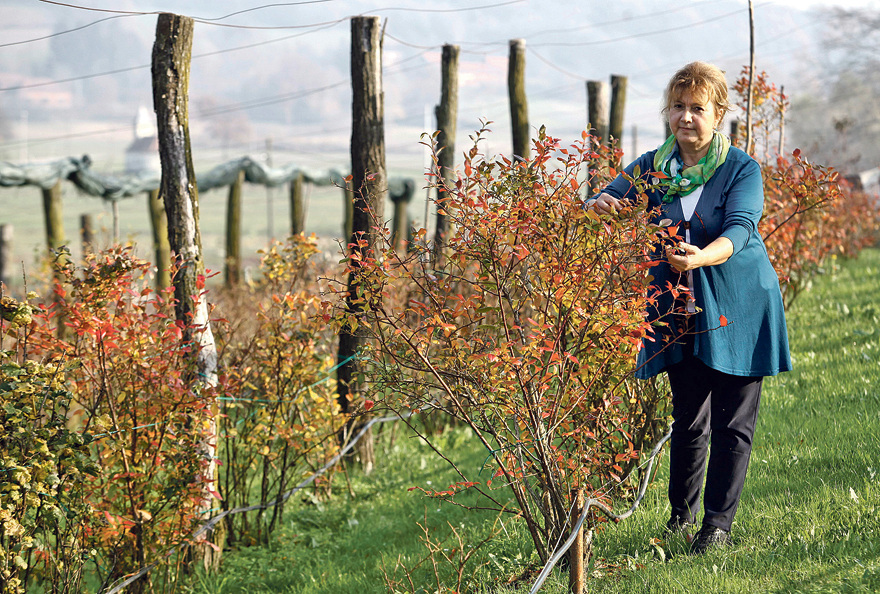 opg_kovacic12-051118_1