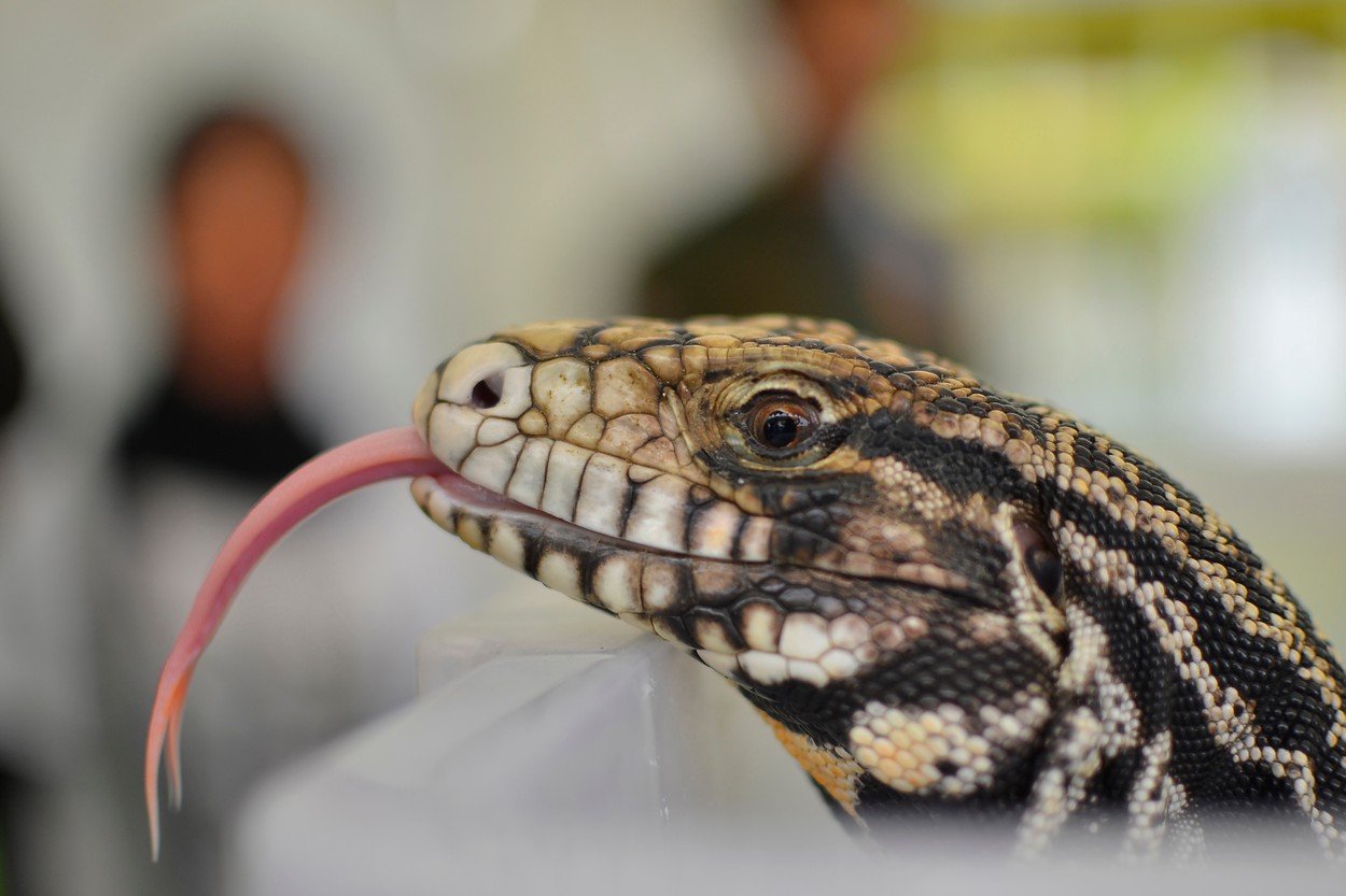 profimedia-0323751045