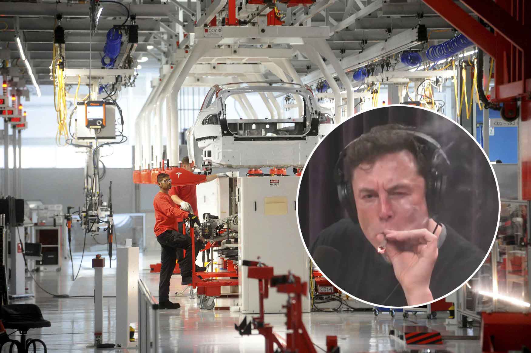 Elon Musk (u krugu)