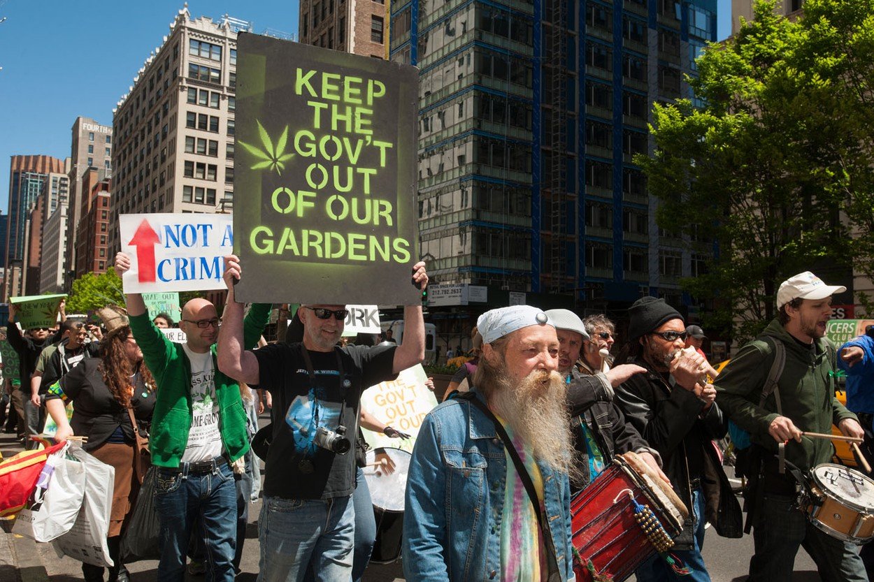 profimedia-0163562669