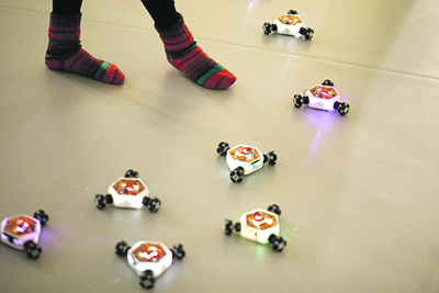 Adam Donovan i Katrin Hochschuh: Empatični roj