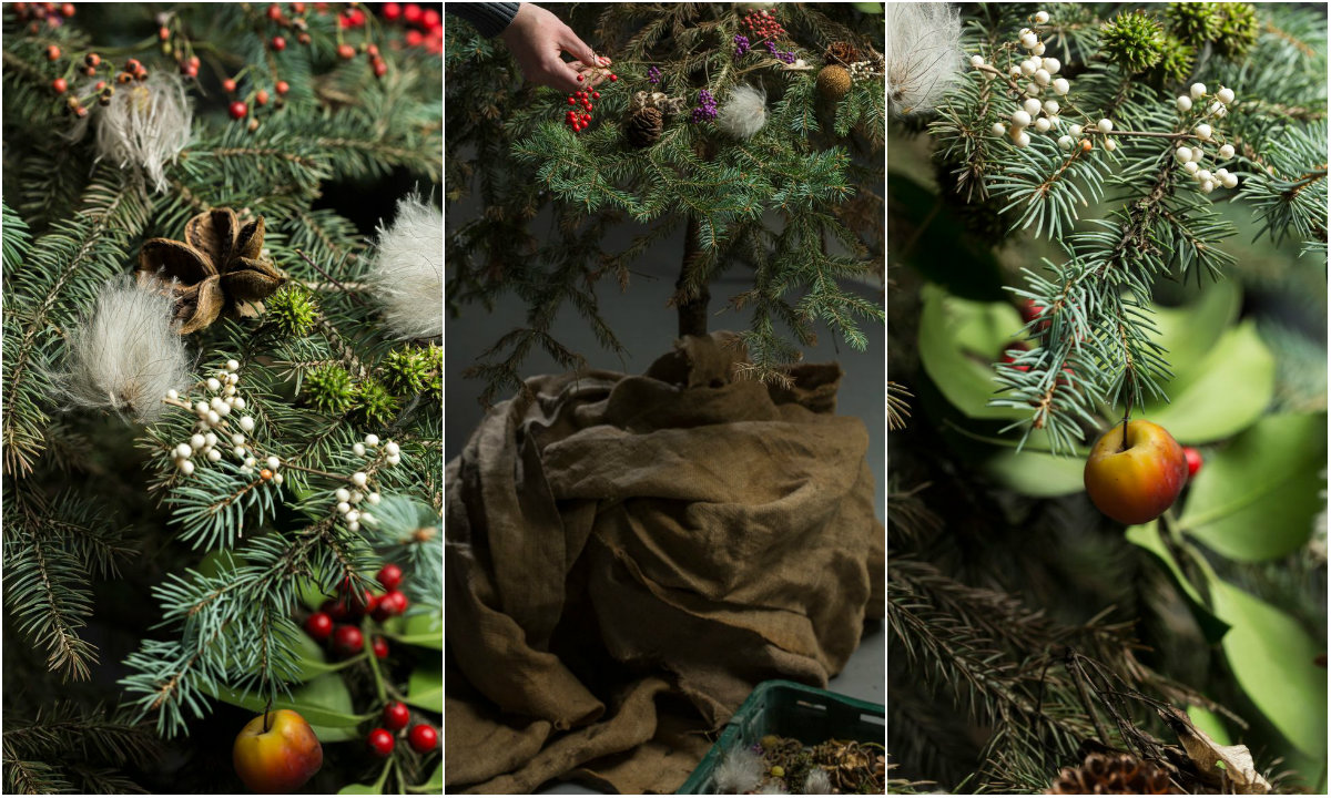 Ukrasi iz vrta collage