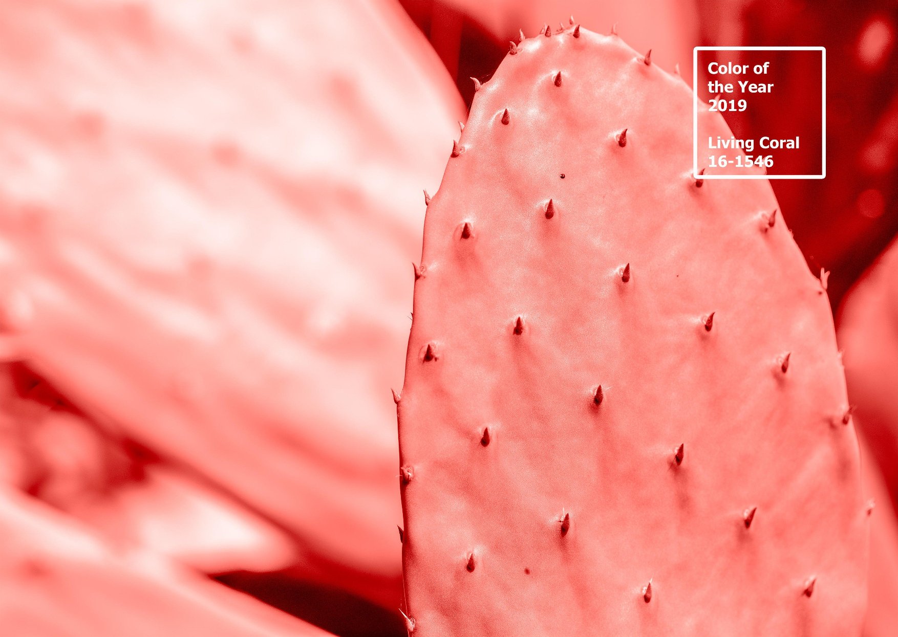 profimedia-0402265181