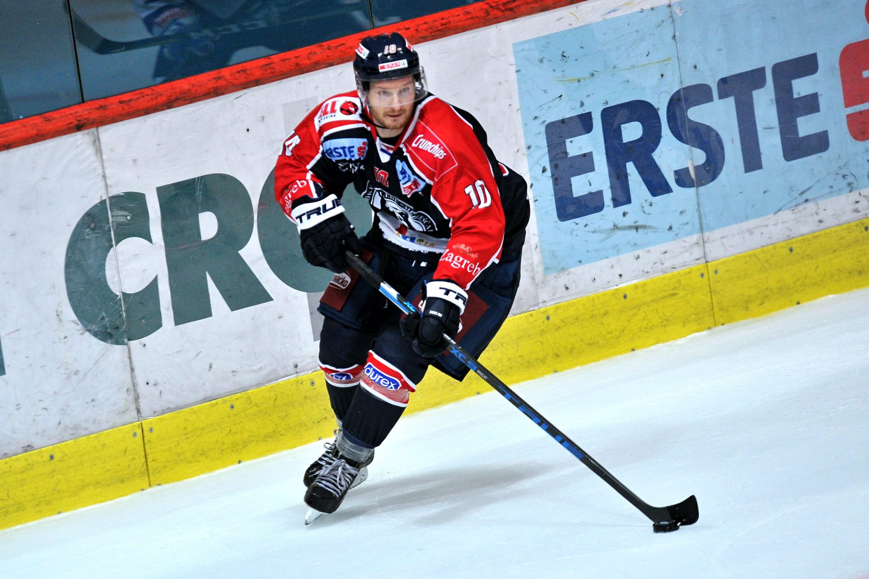 medvescak_panaceo24-021118