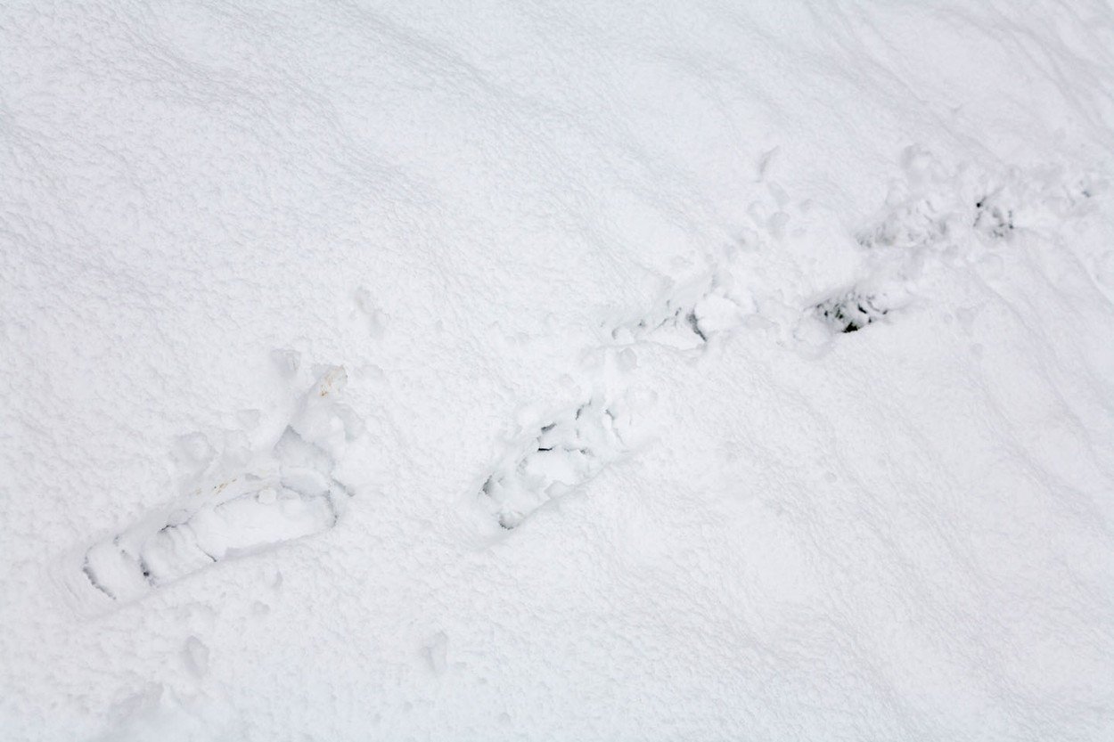 profimedia-0011718820