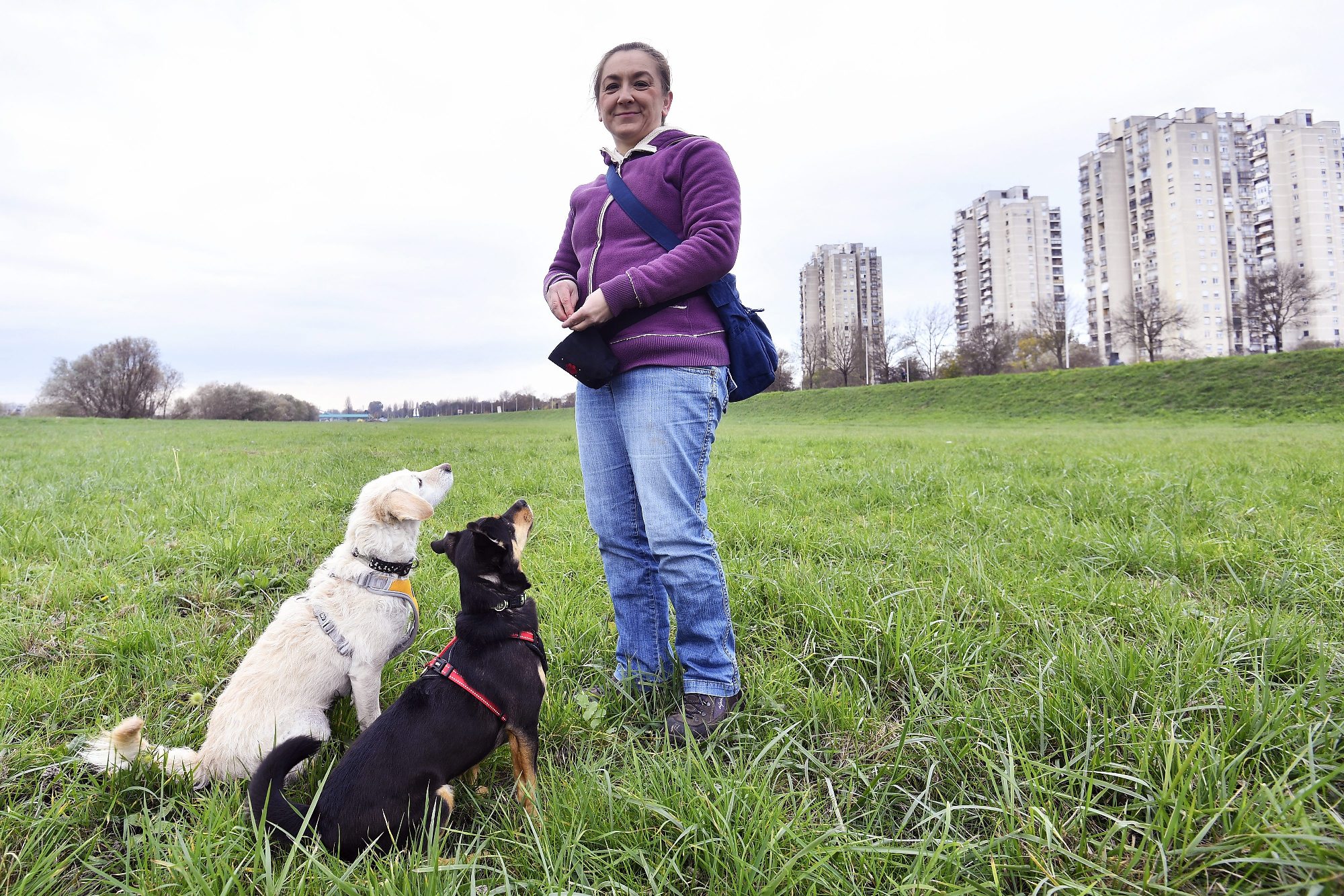 Pseća bihevioristica Irena Petak u (ne)mogućoj misiji korigiranja ponašanja Mašenjke (bijeli pas)